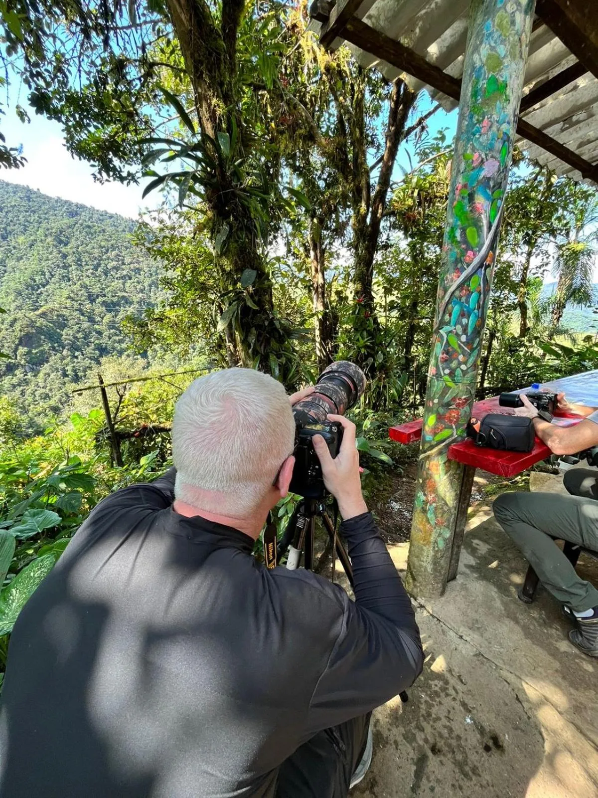 Natural landscape in Natural Luxury Hotel