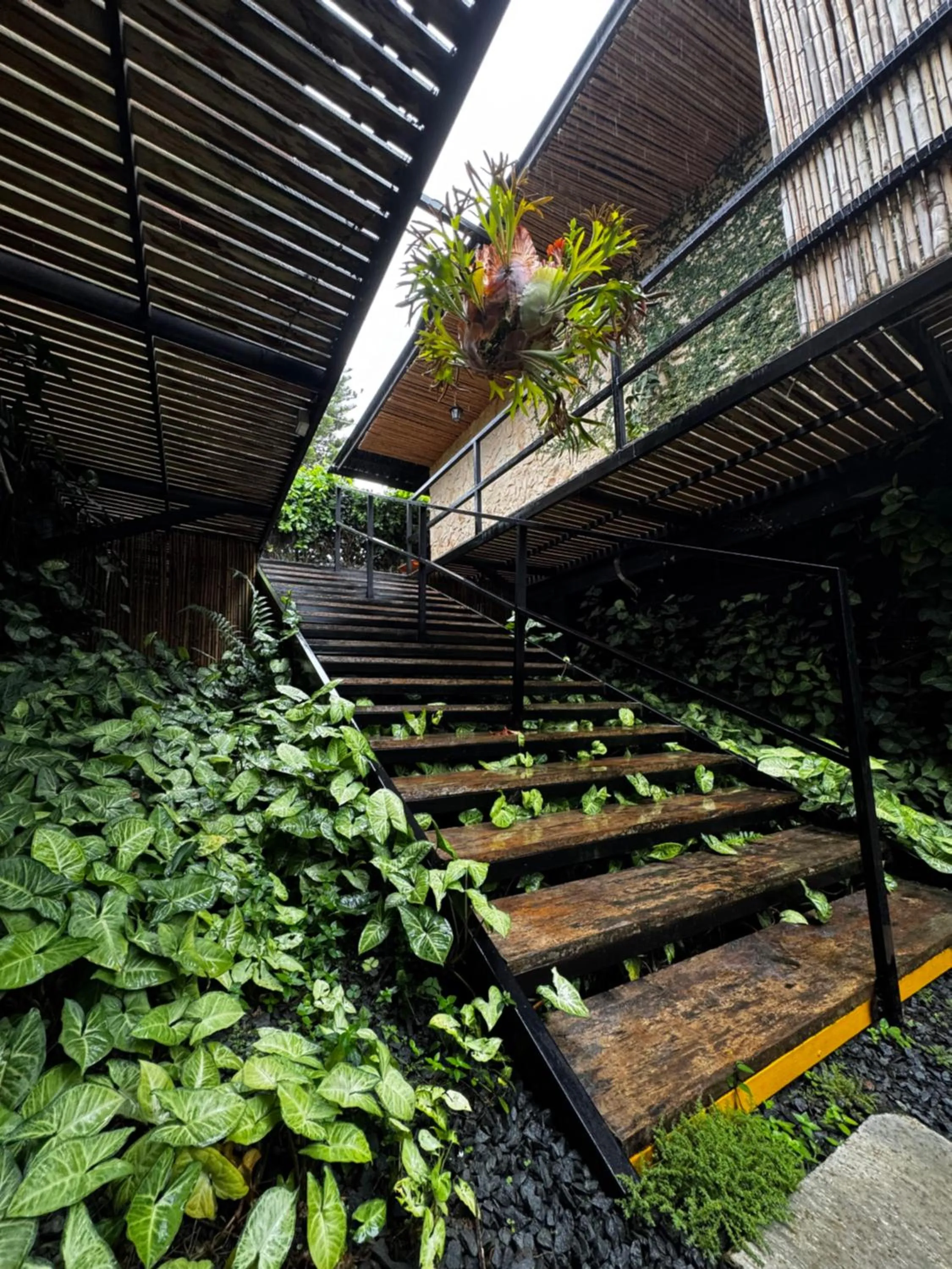 Natural Luxury Hotel