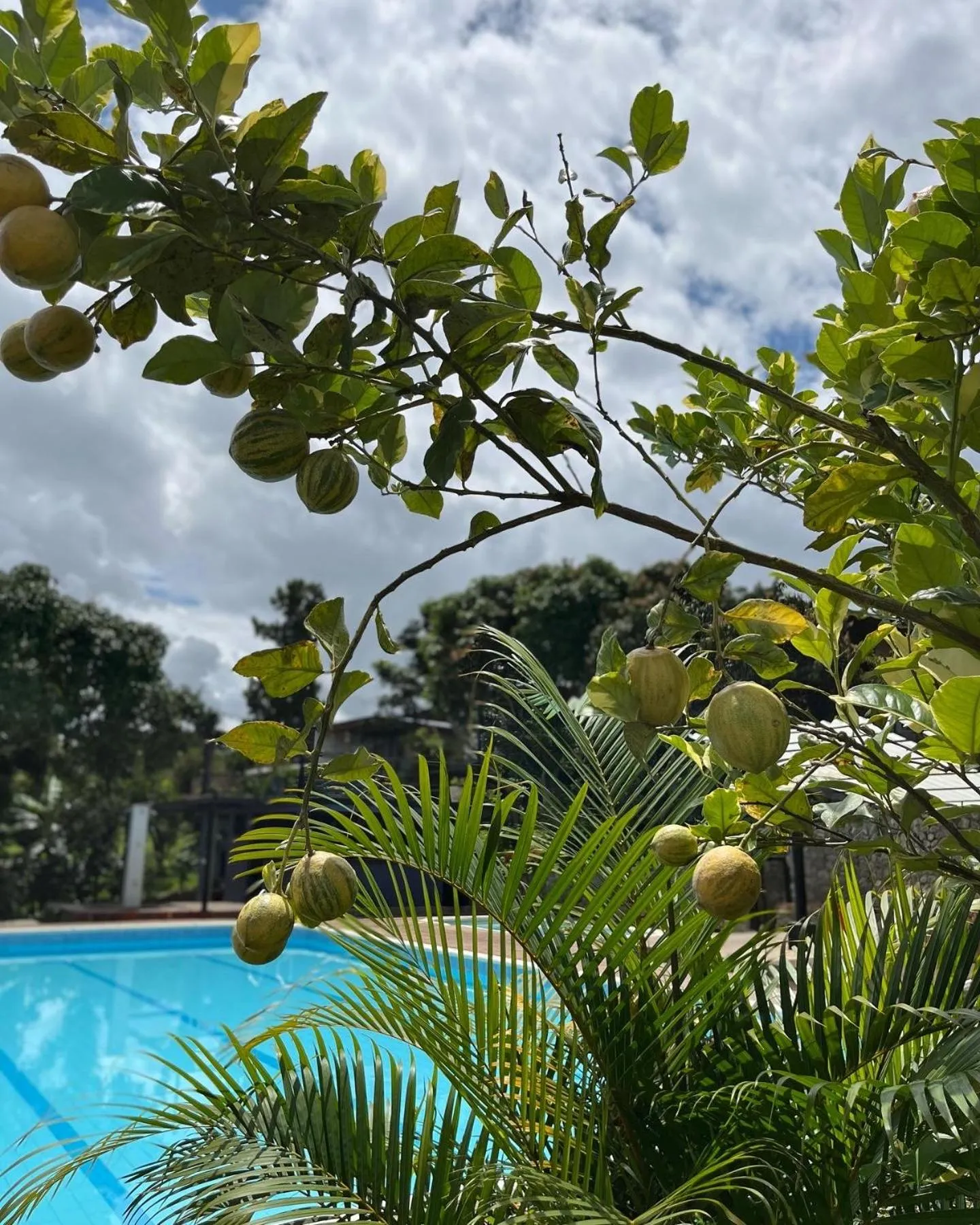  in Natural Luxury Hotel