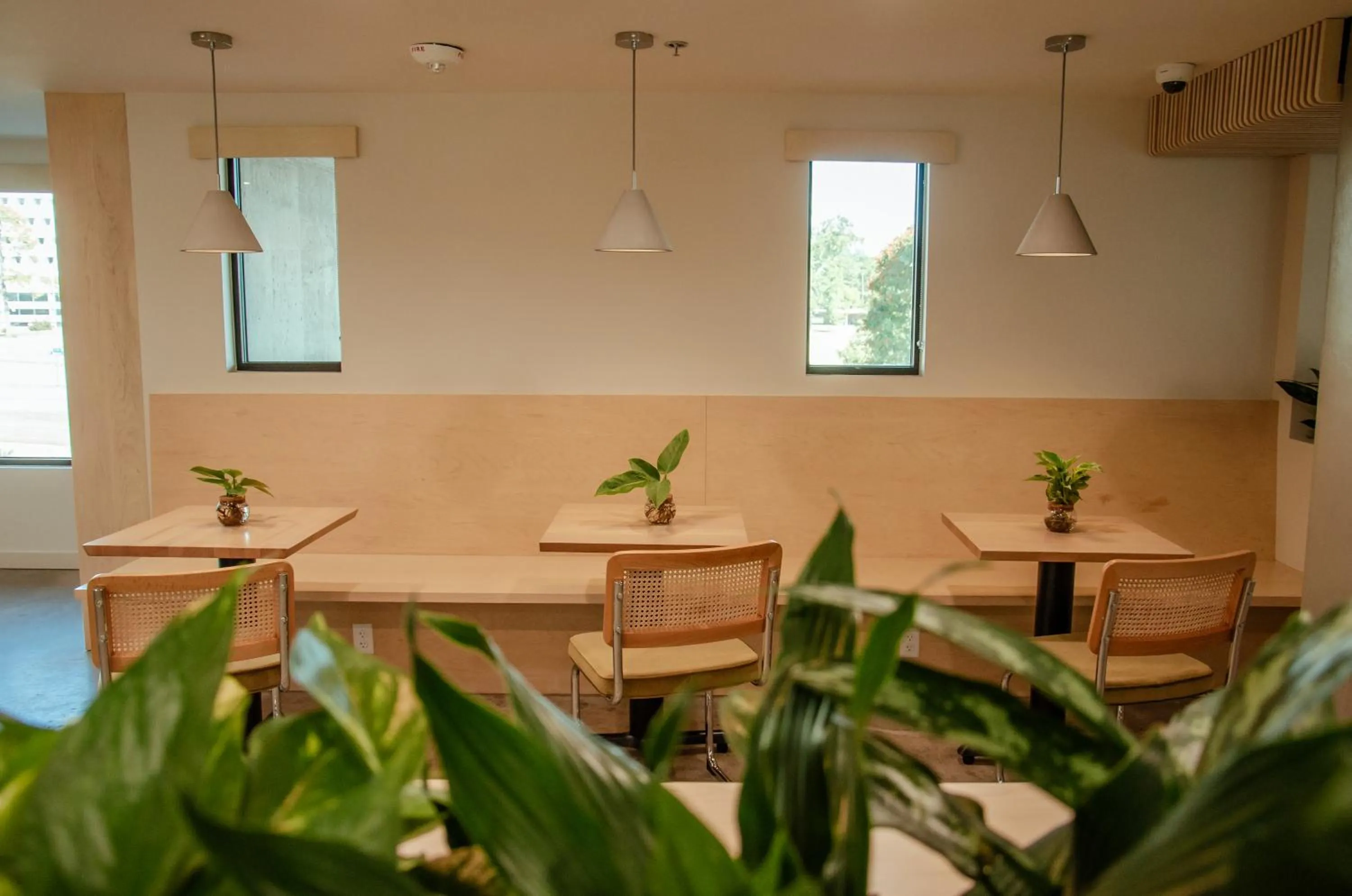 Restaurant/places to eat in Brut Hotel