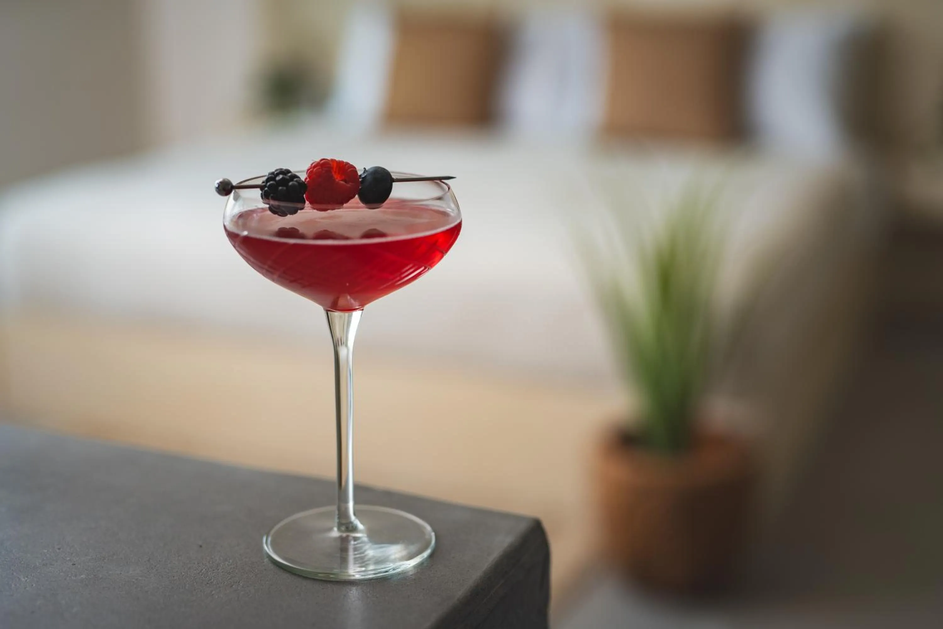 Restaurant/places to eat in Brut Hotel