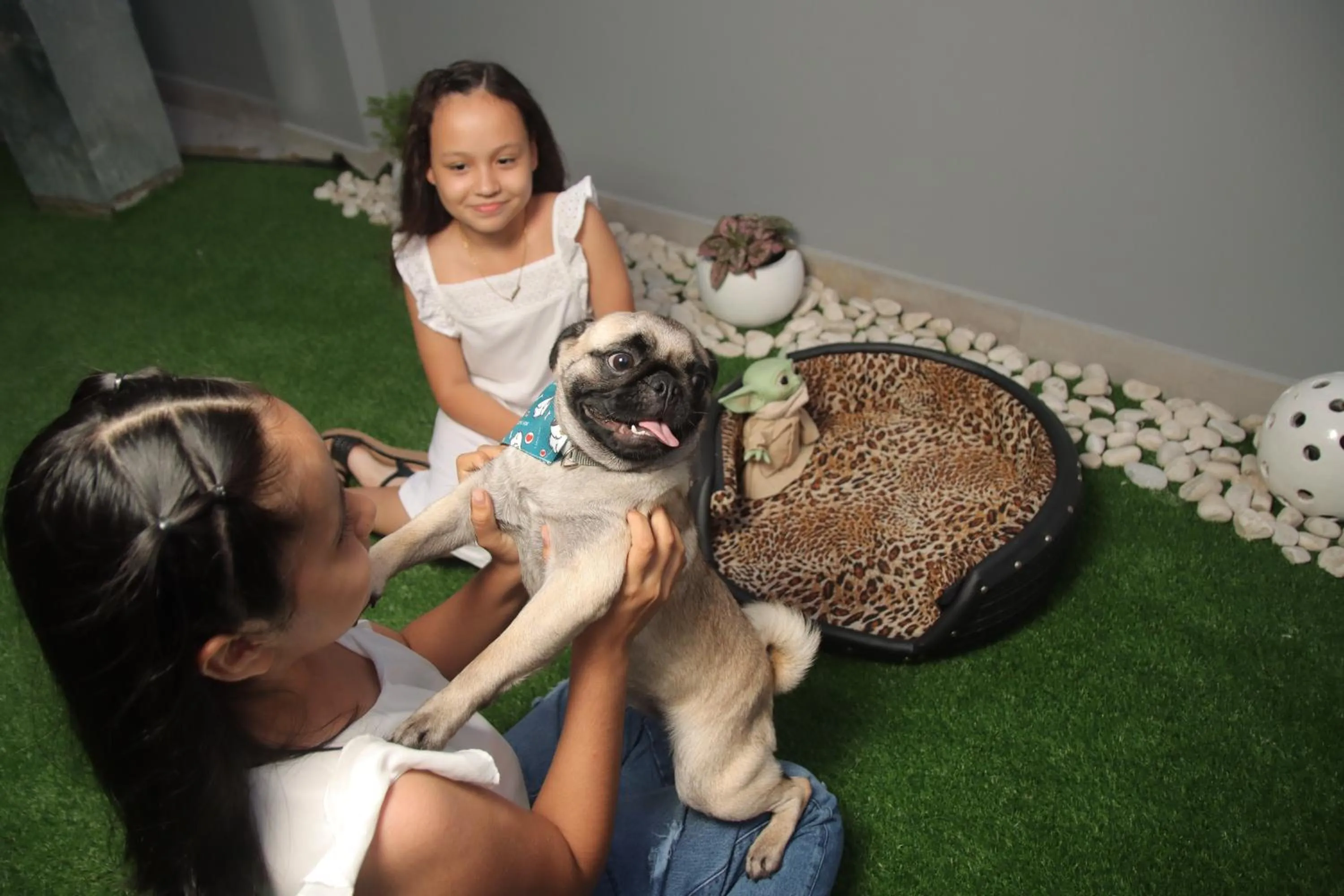 Area and facilities in HOTEL OSHO