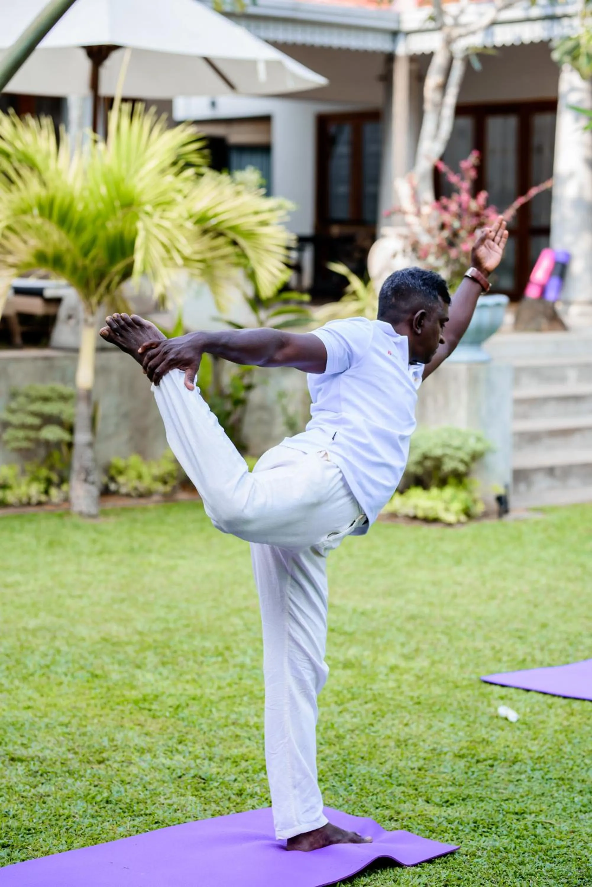 TROPICAL HOUSE - Jungleside Villa