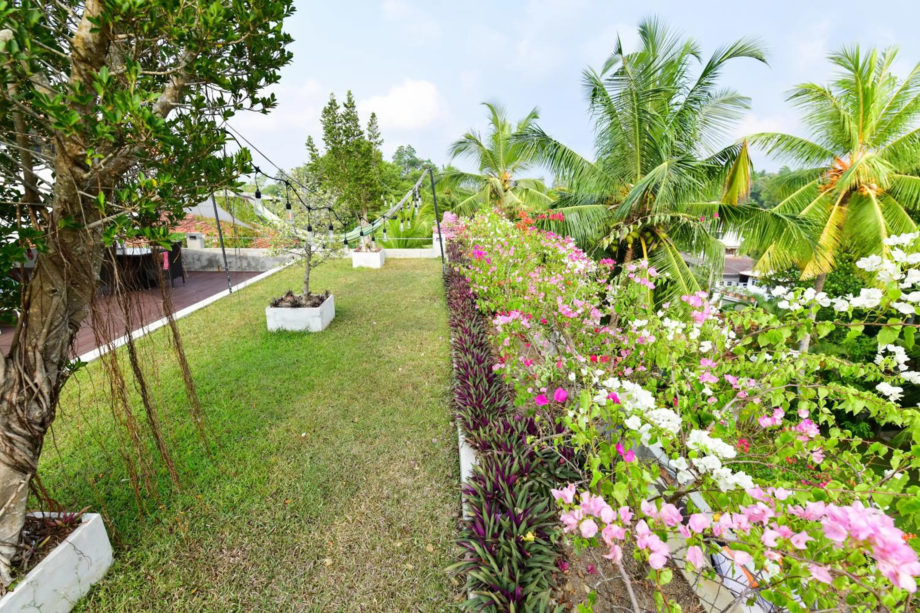 TROPICAL HOUSE - Jungleside Villa