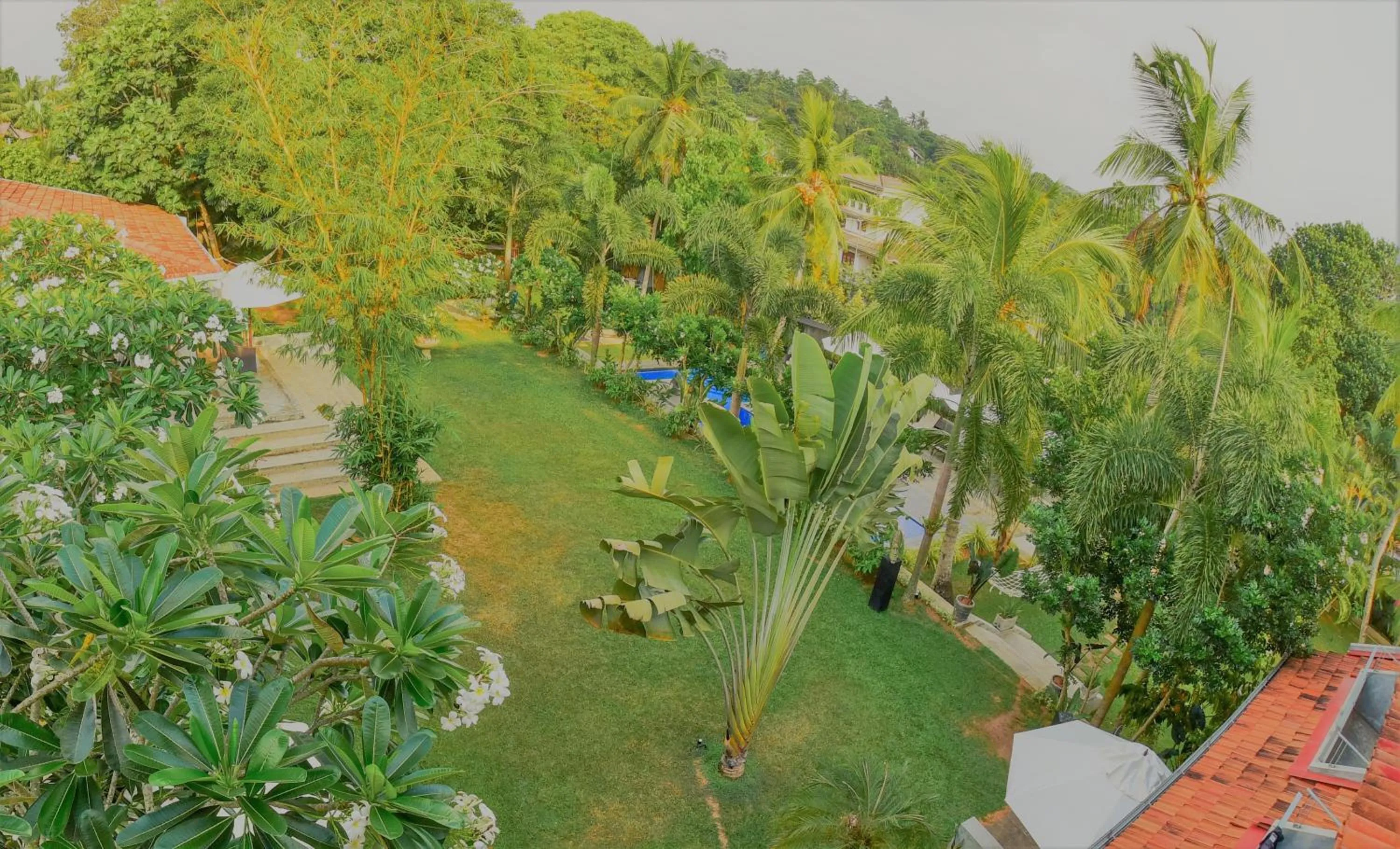 TROPICAL HOUSE - Jungleside Villa