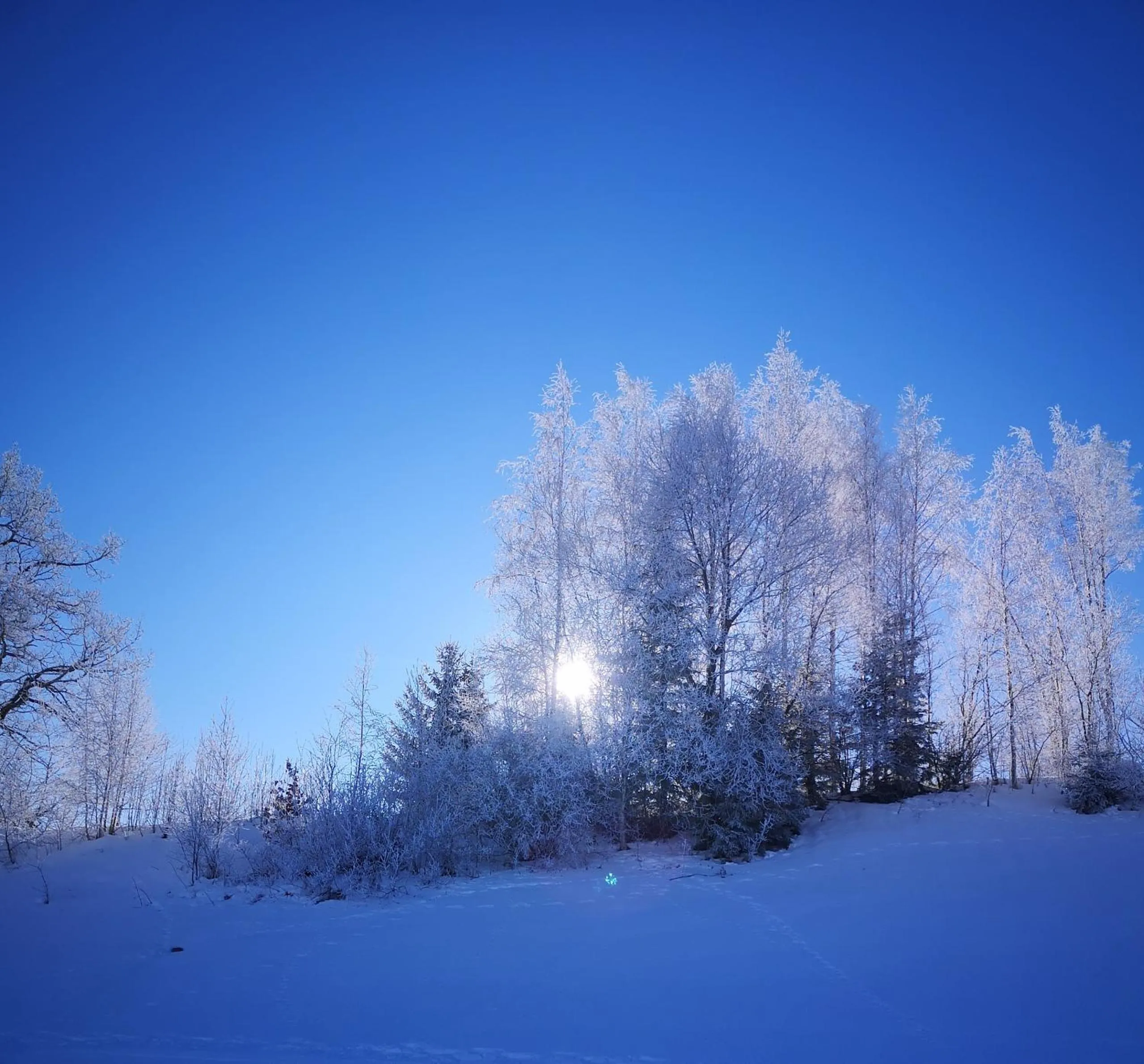 Skiing in Hotel Bergstätter Hof