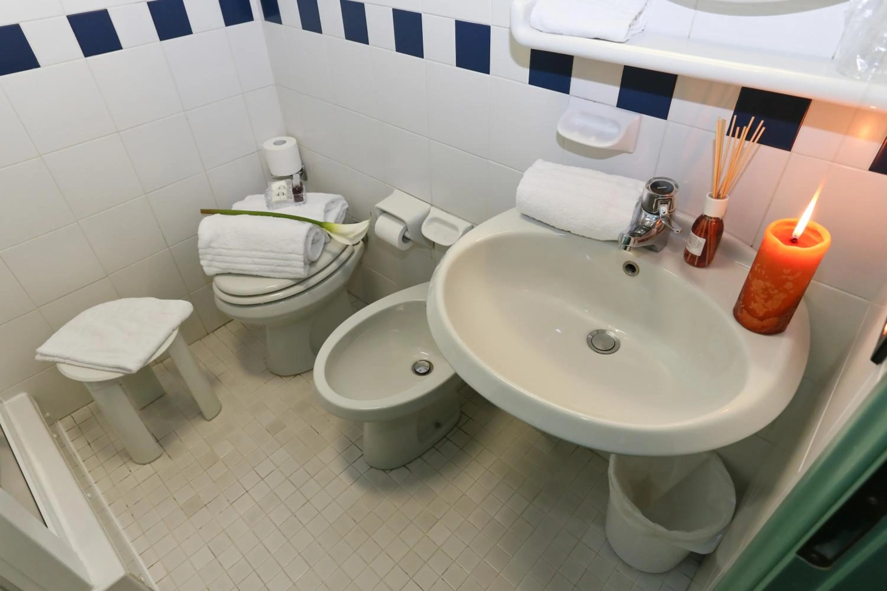 Toilet in Hotel Forum