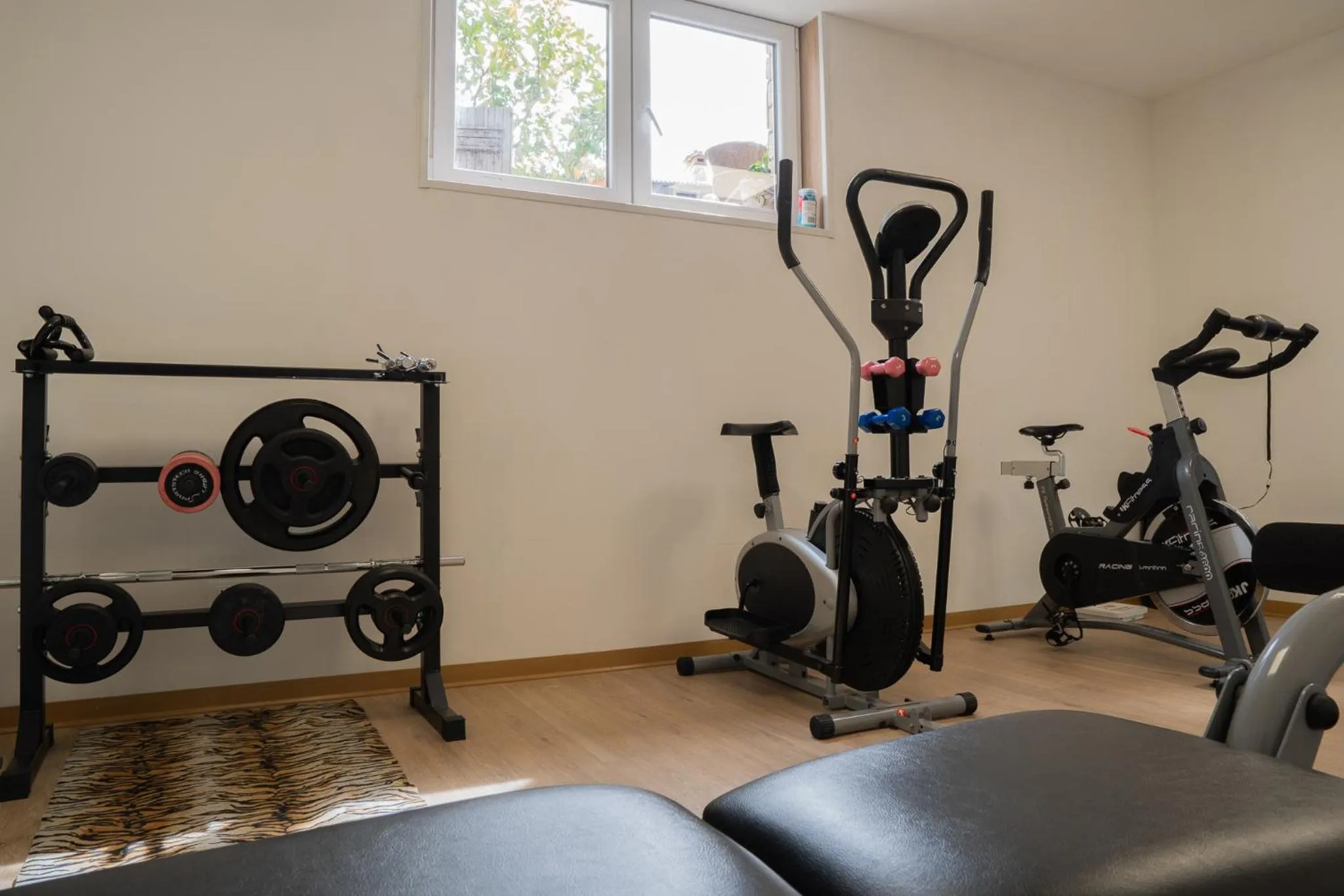 Fitness centre/facilities in Hotel Canarino