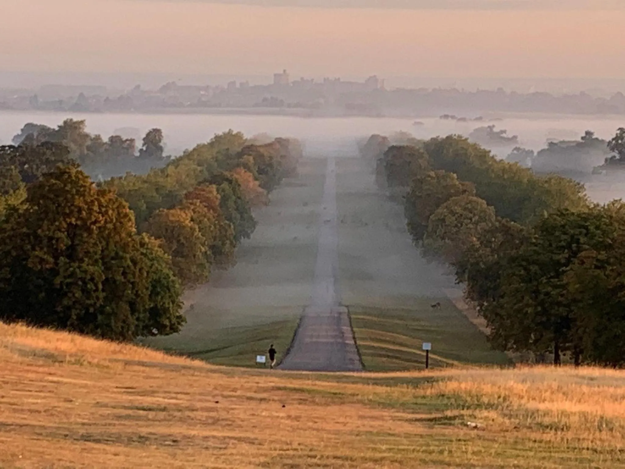 Neighbourhood in Windsor Mews by Stay Focused SA