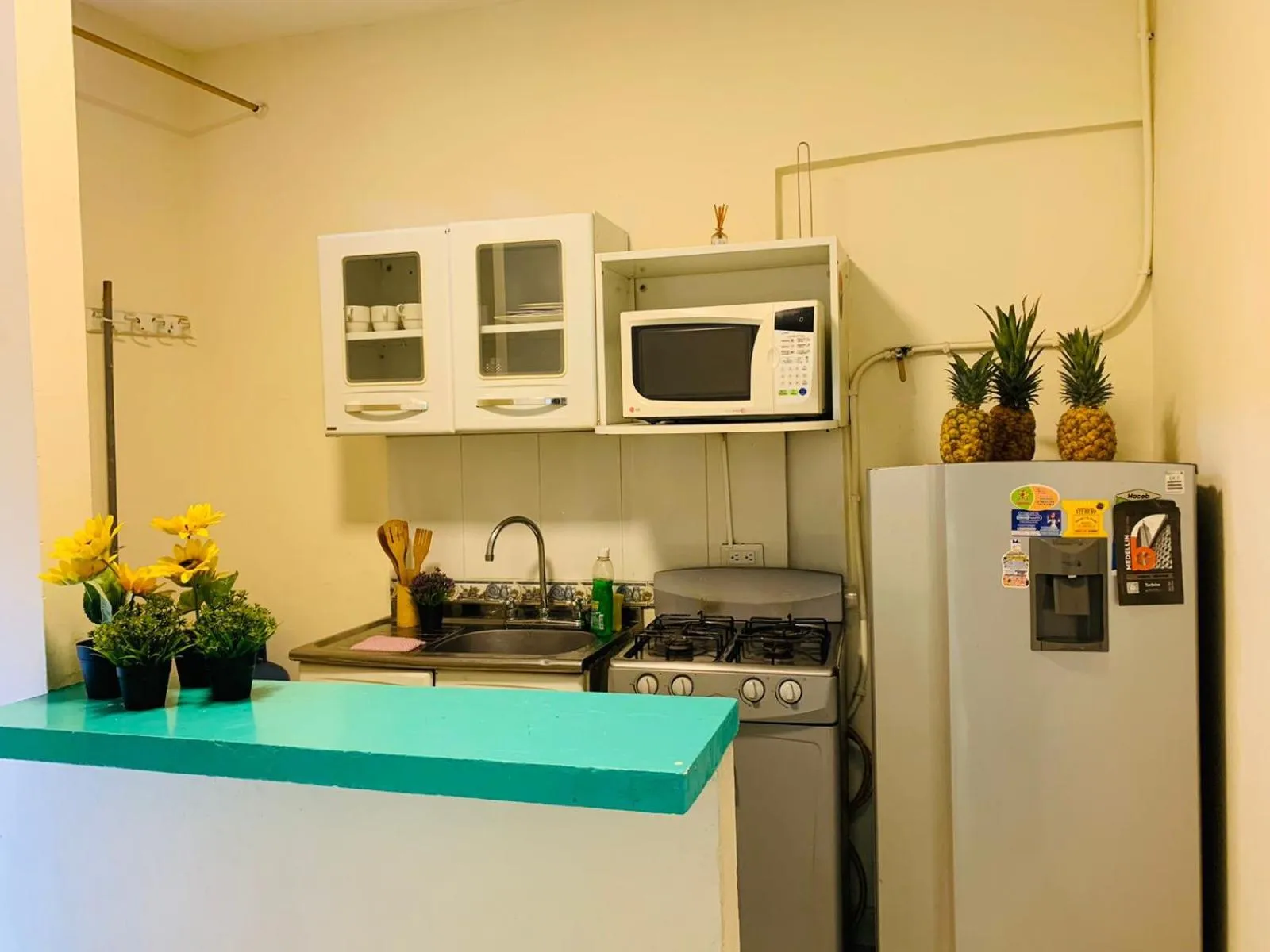 Kitchen or kitchenette in Gaia