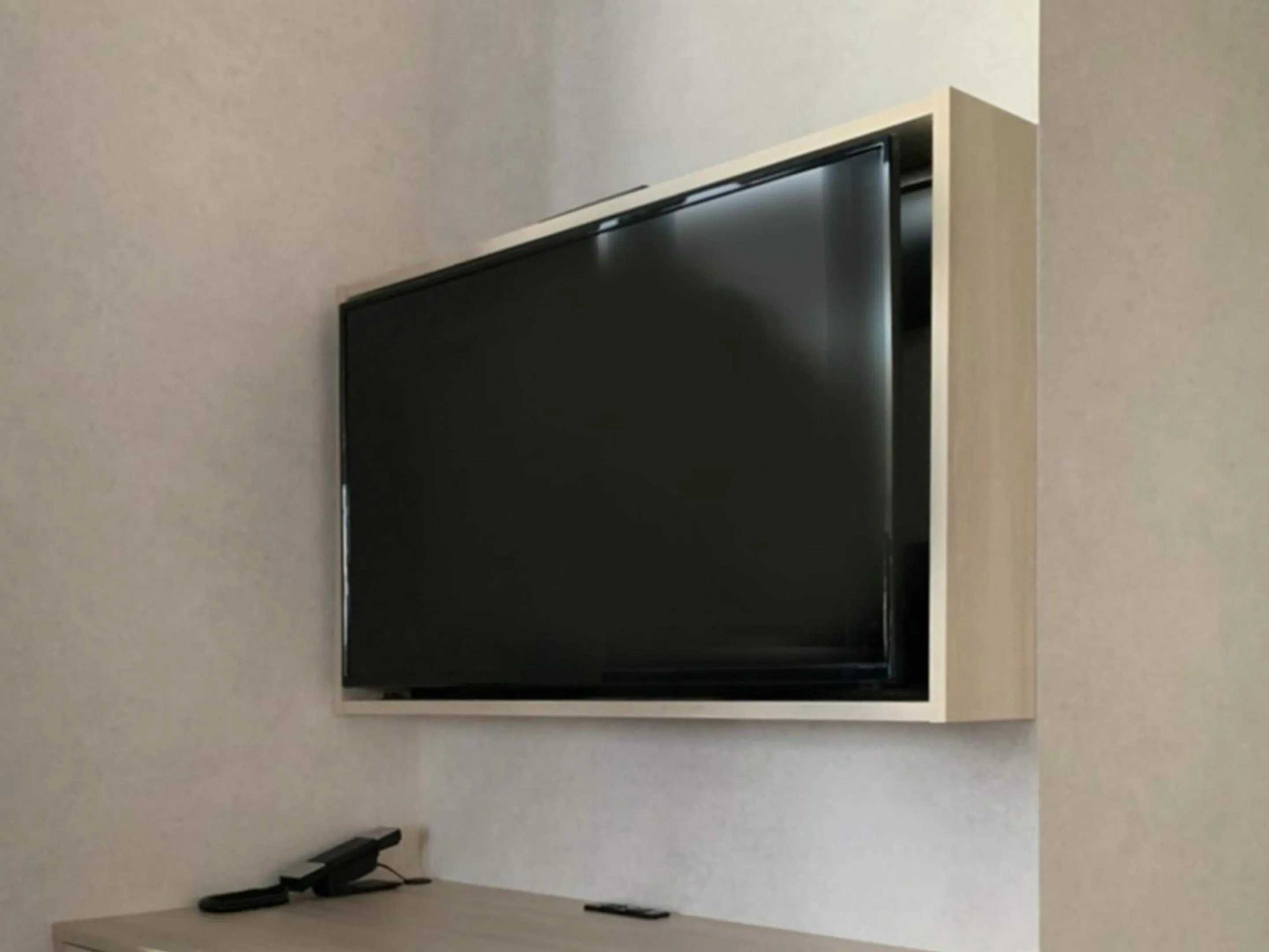 TV and multimedia in Akabane Holic Hotel