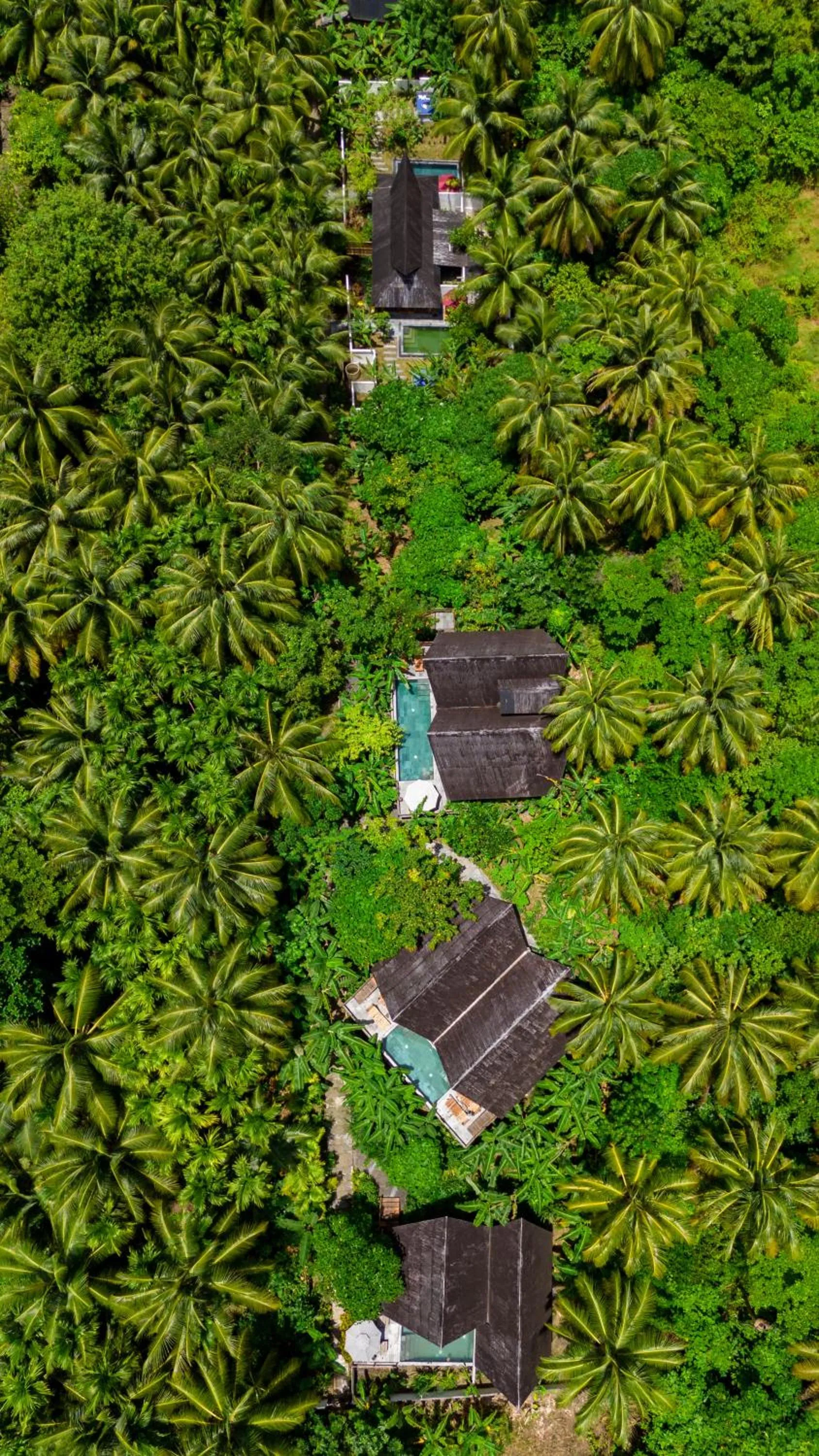 Property building in Satya Boutique Resort & Spa