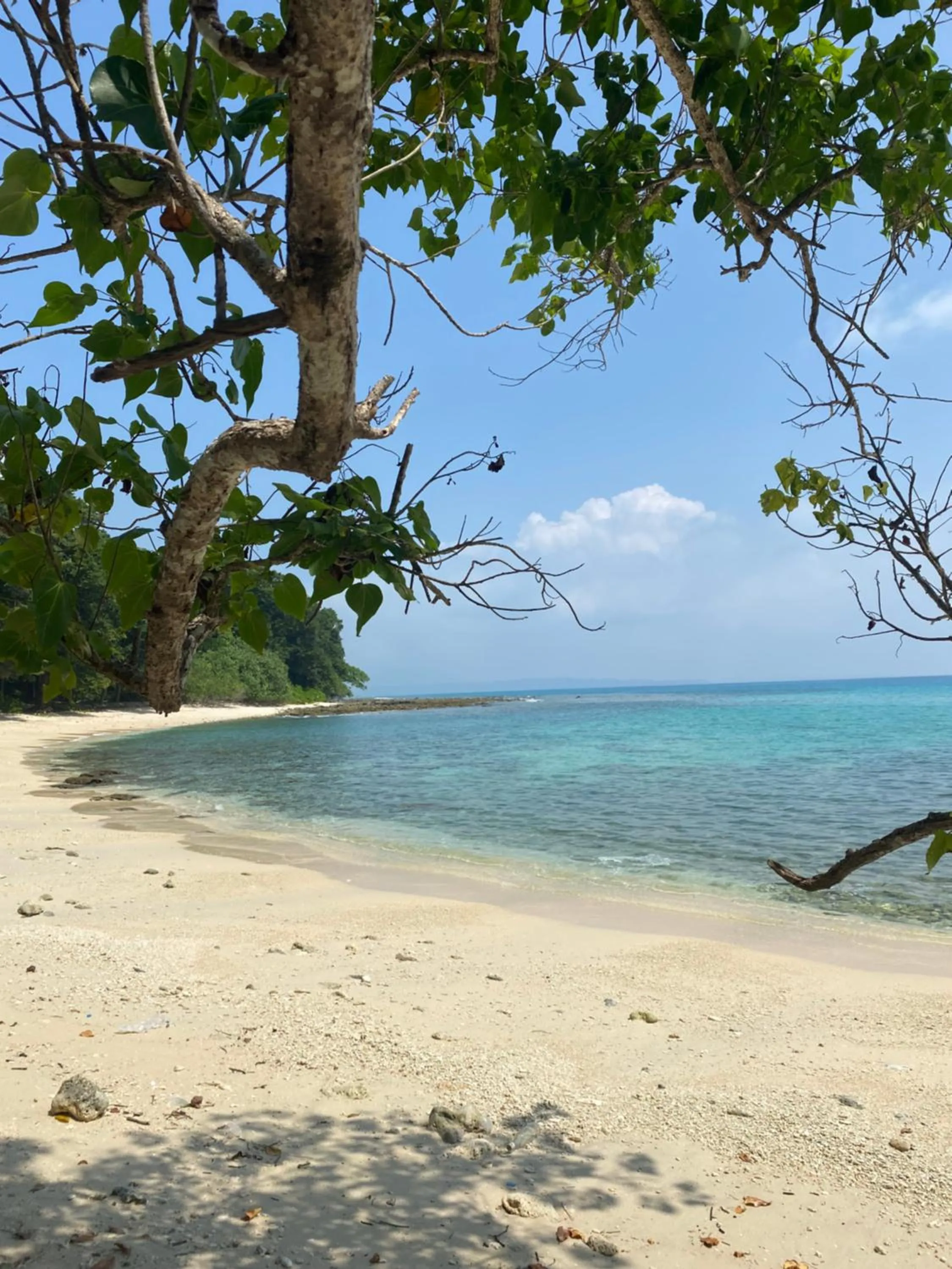 Beach in Satya Boutique Resort & Spa