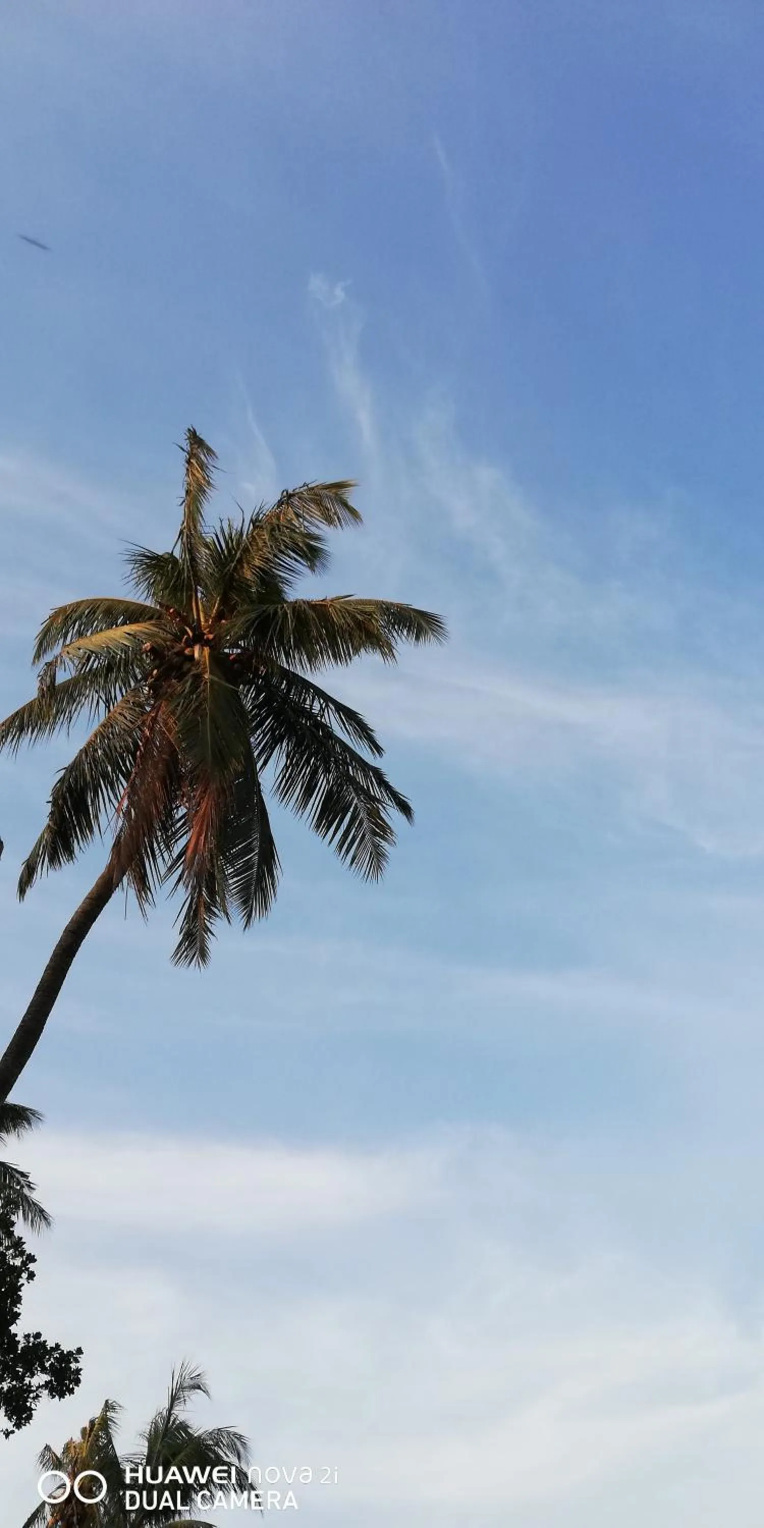 Natural landscape in Dive beach palace