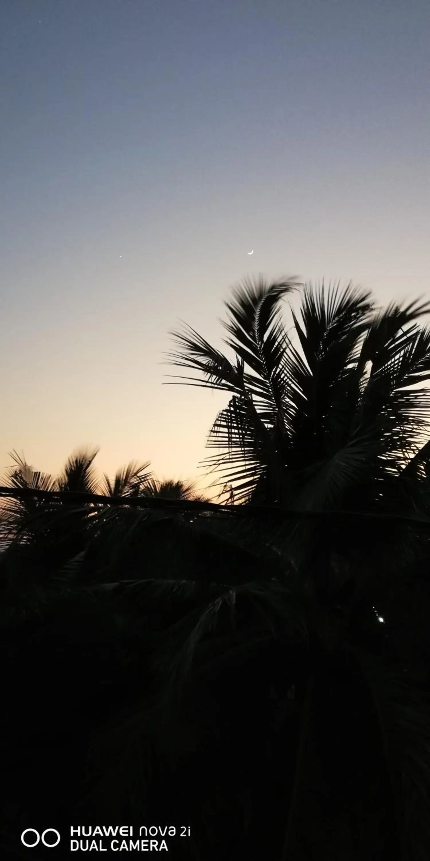 Natural landscape in Dive beach palace