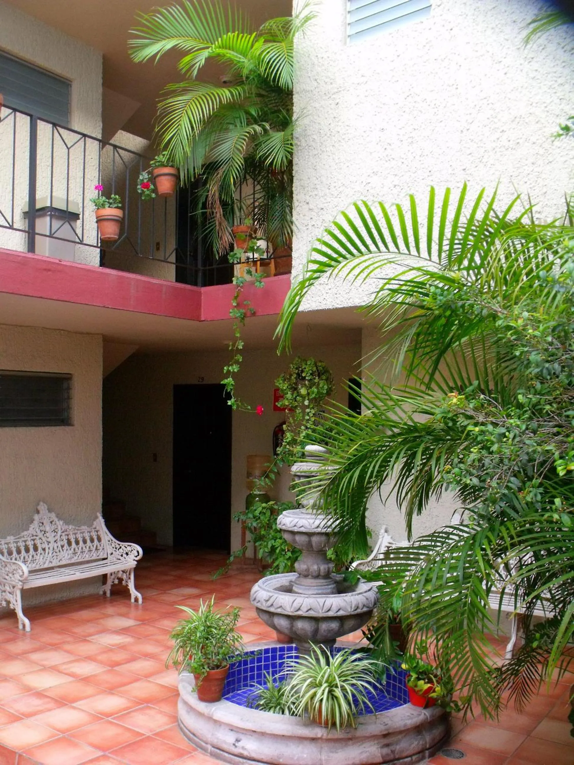 Area and facilities in Hotel Villa Del Sol Expo