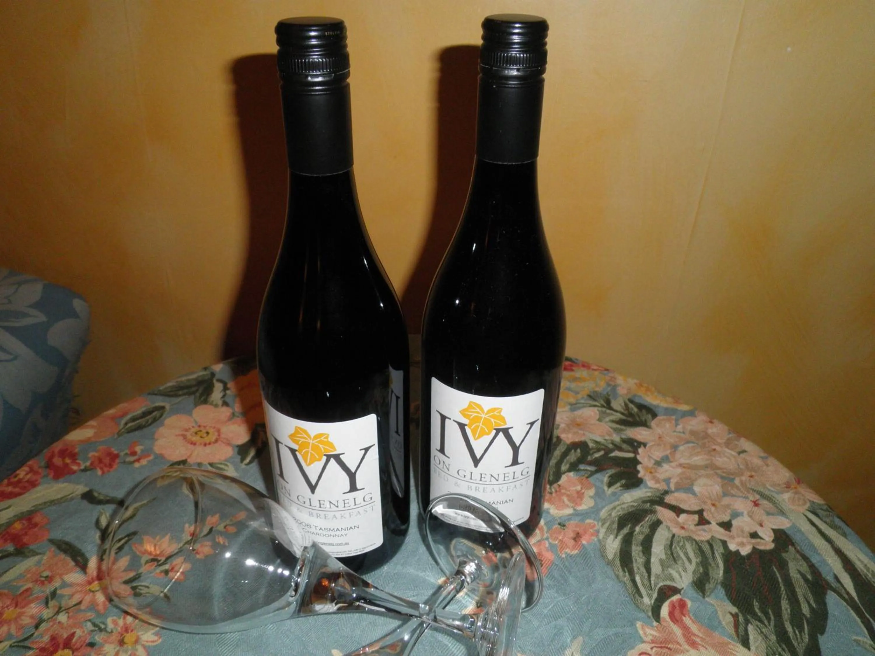 Pets in Ivy on Glenelg