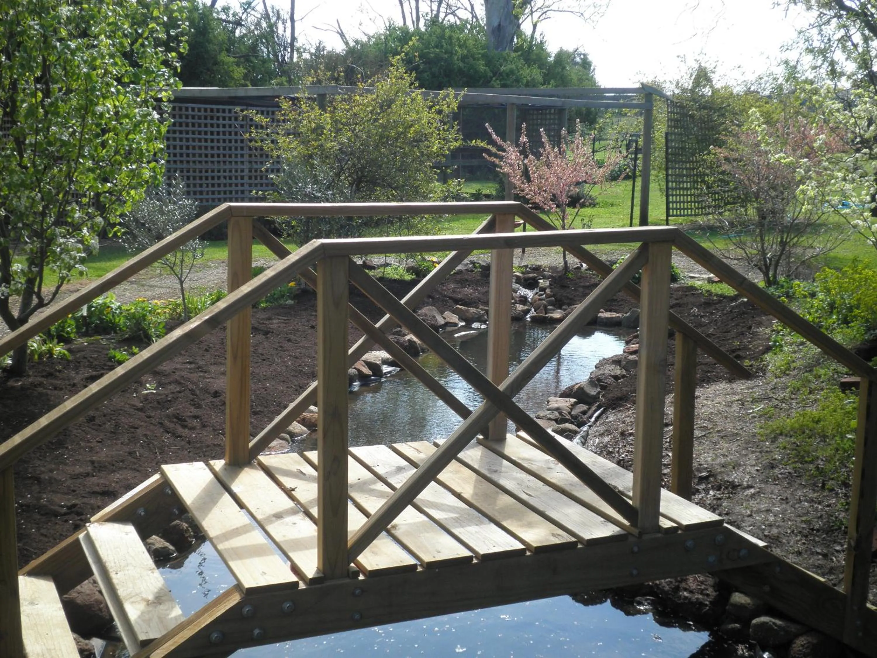 Garden in Ivy on Glenelg