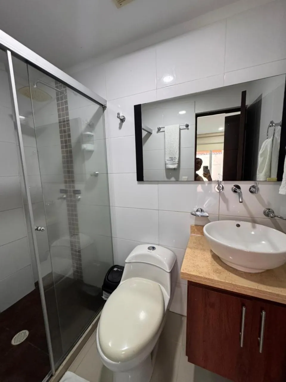 Hotel Ipanema Meridian