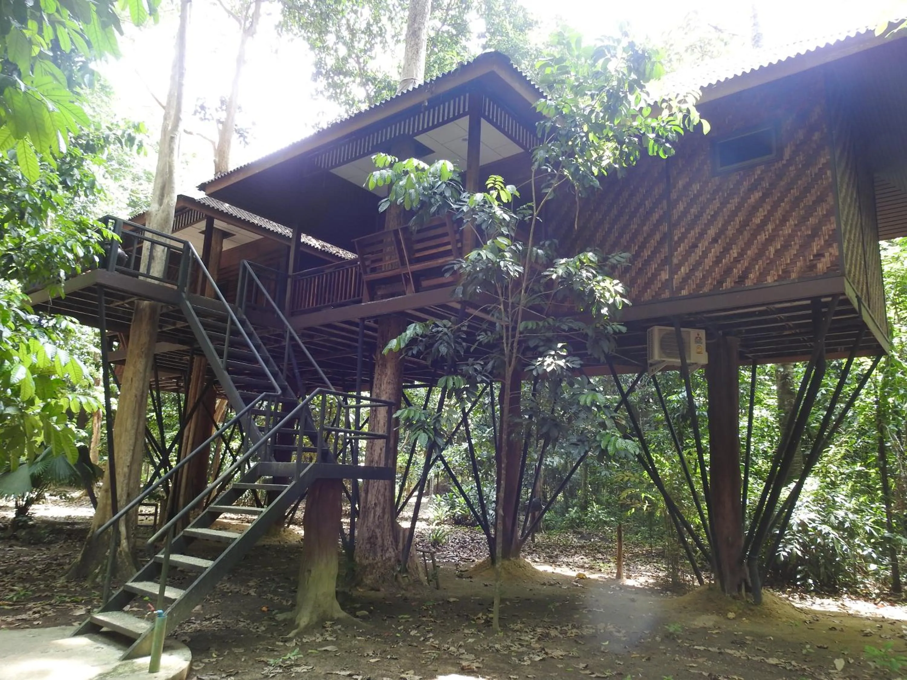 Property building in Khao Sok Nature Resort