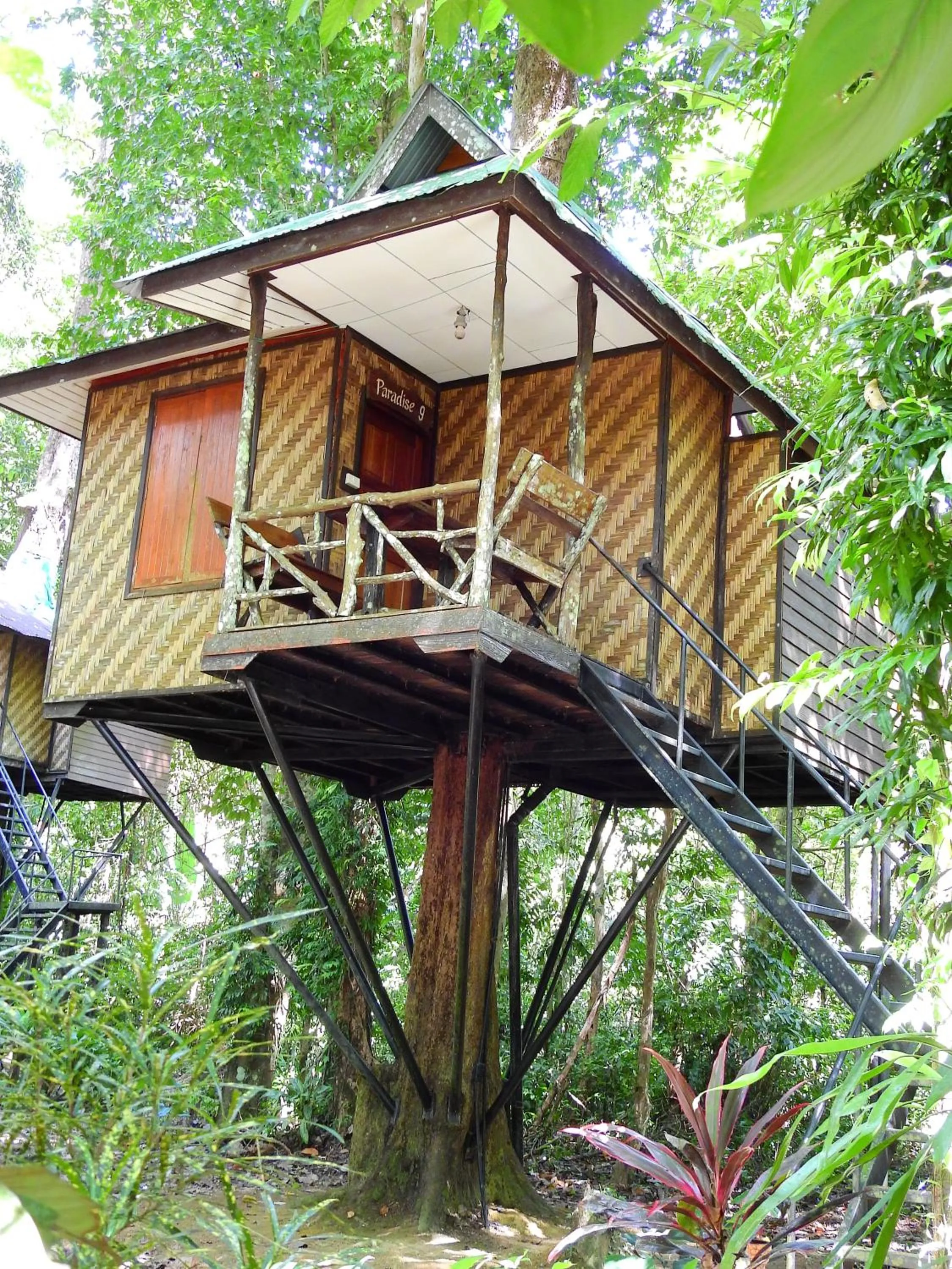 Property building in Khao Sok Nature Resort