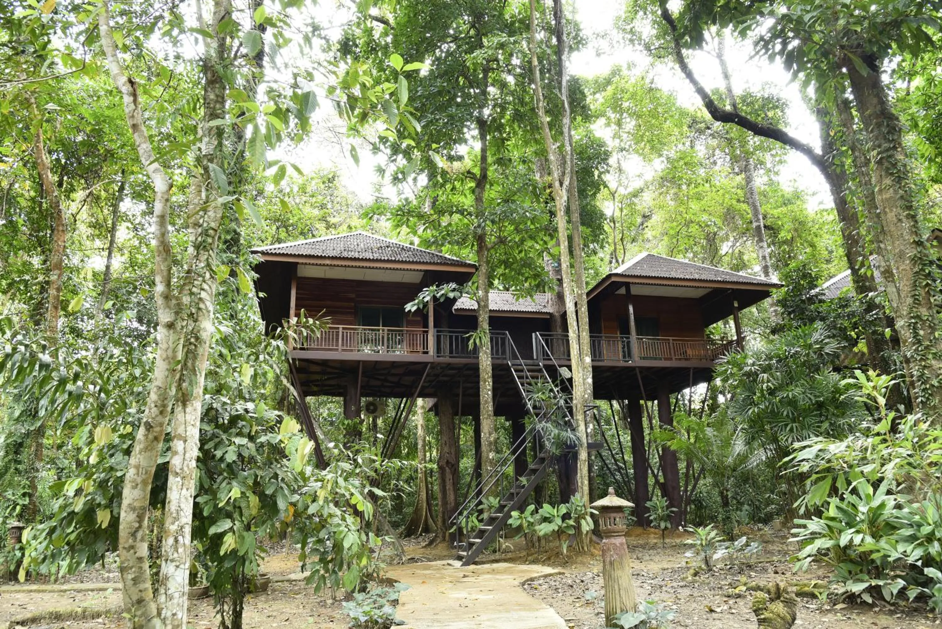 Property building in Khao Sok Nature Resort