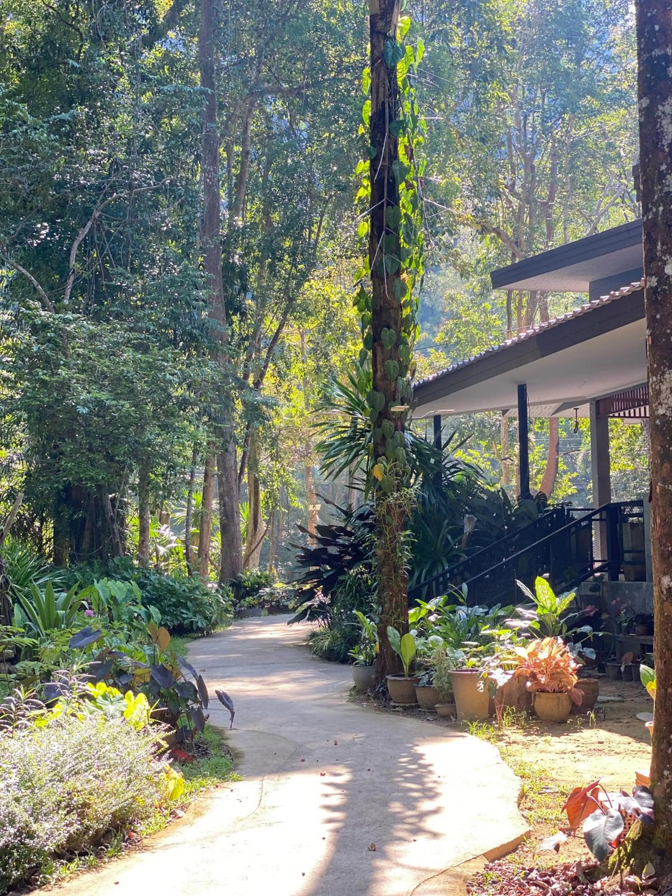 Dining area in Khao Sok Nature Resort