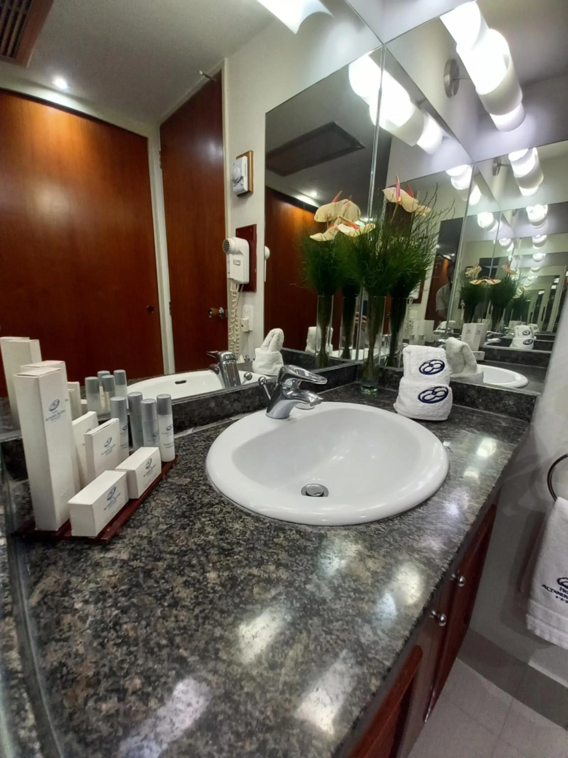 Bathroom in HOTEL ALTAMIRA SUITES