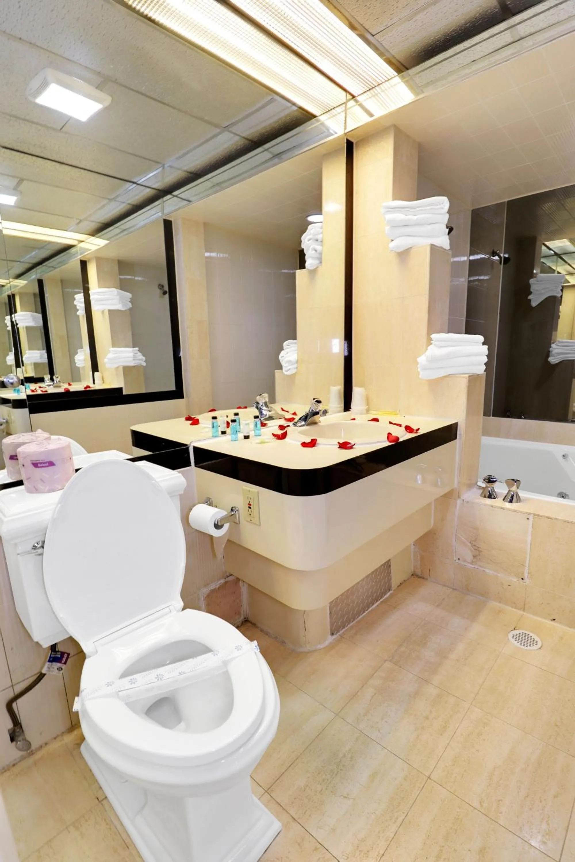 Bathroom in Hollywood Motel