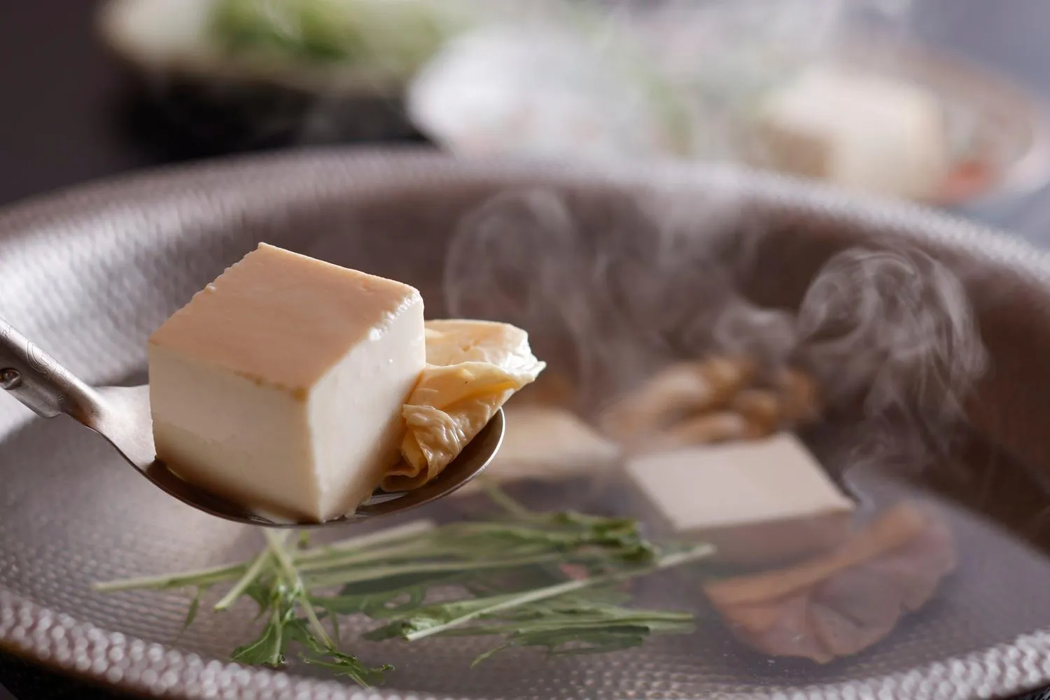 Dinner in Kadensho, Arashiyama Onsen, Kyoto - Kyoritsu Resort
