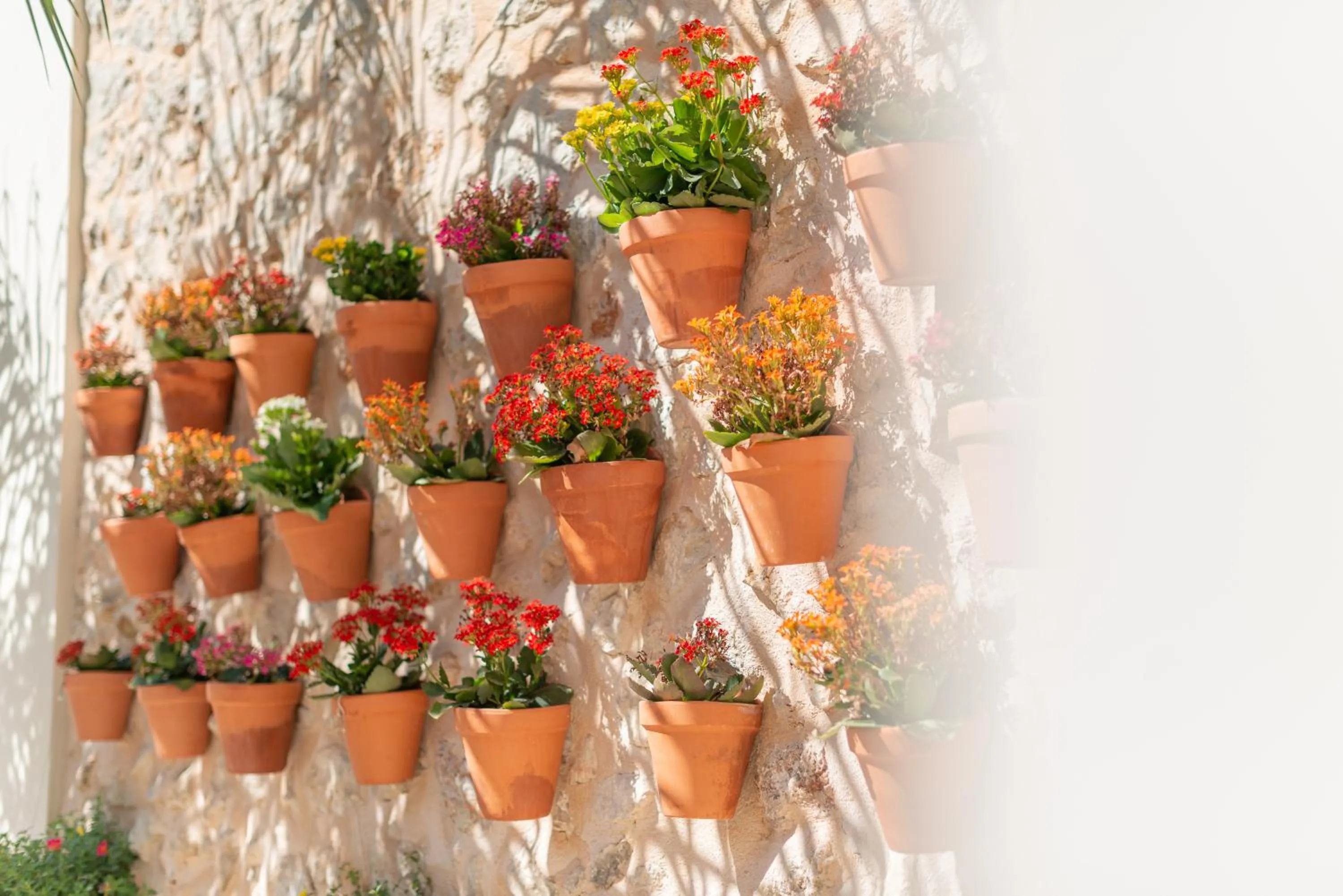 Garden in Placeta Vella Turismo de Interior