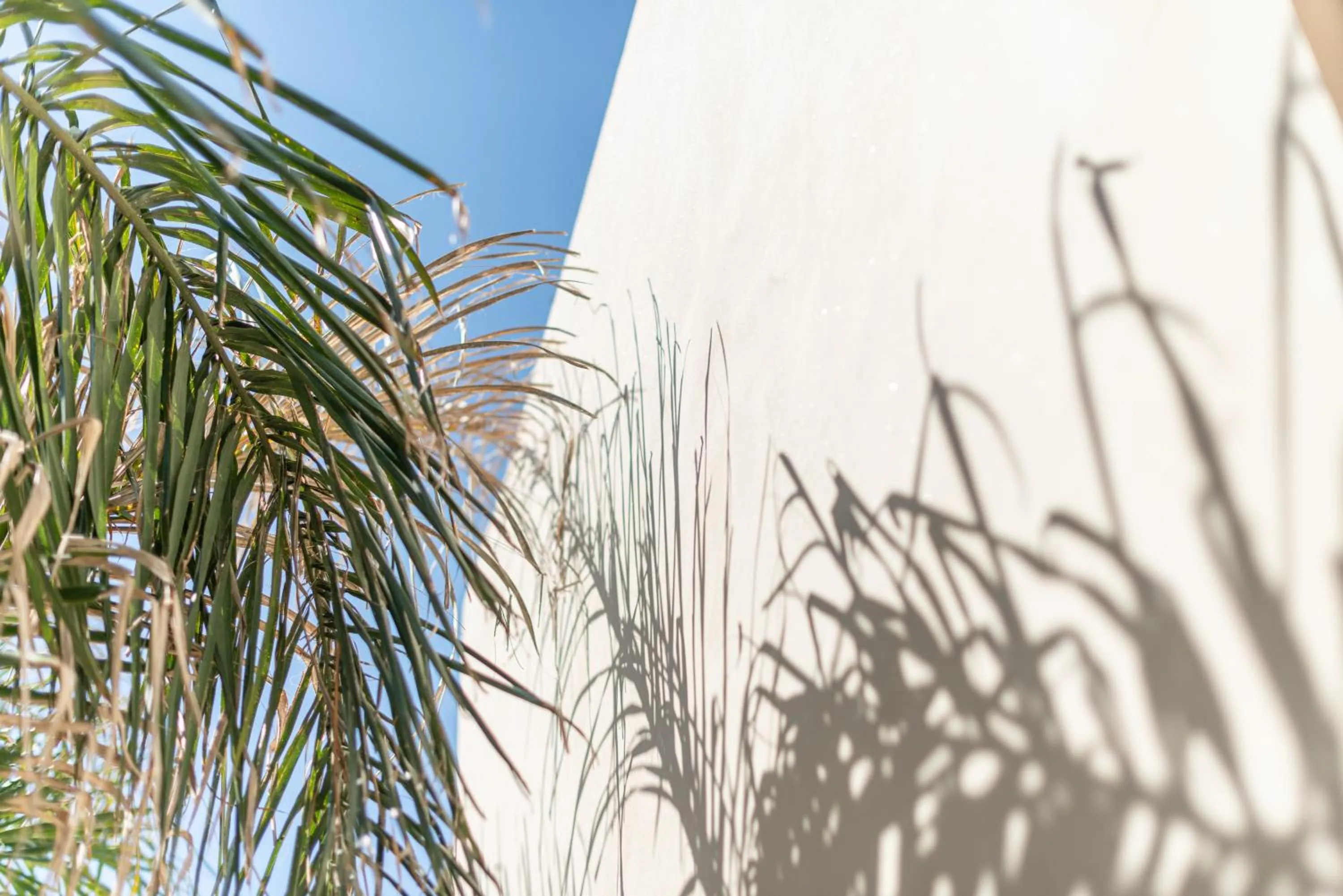 Day in Placeta Vella Turismo de Interior