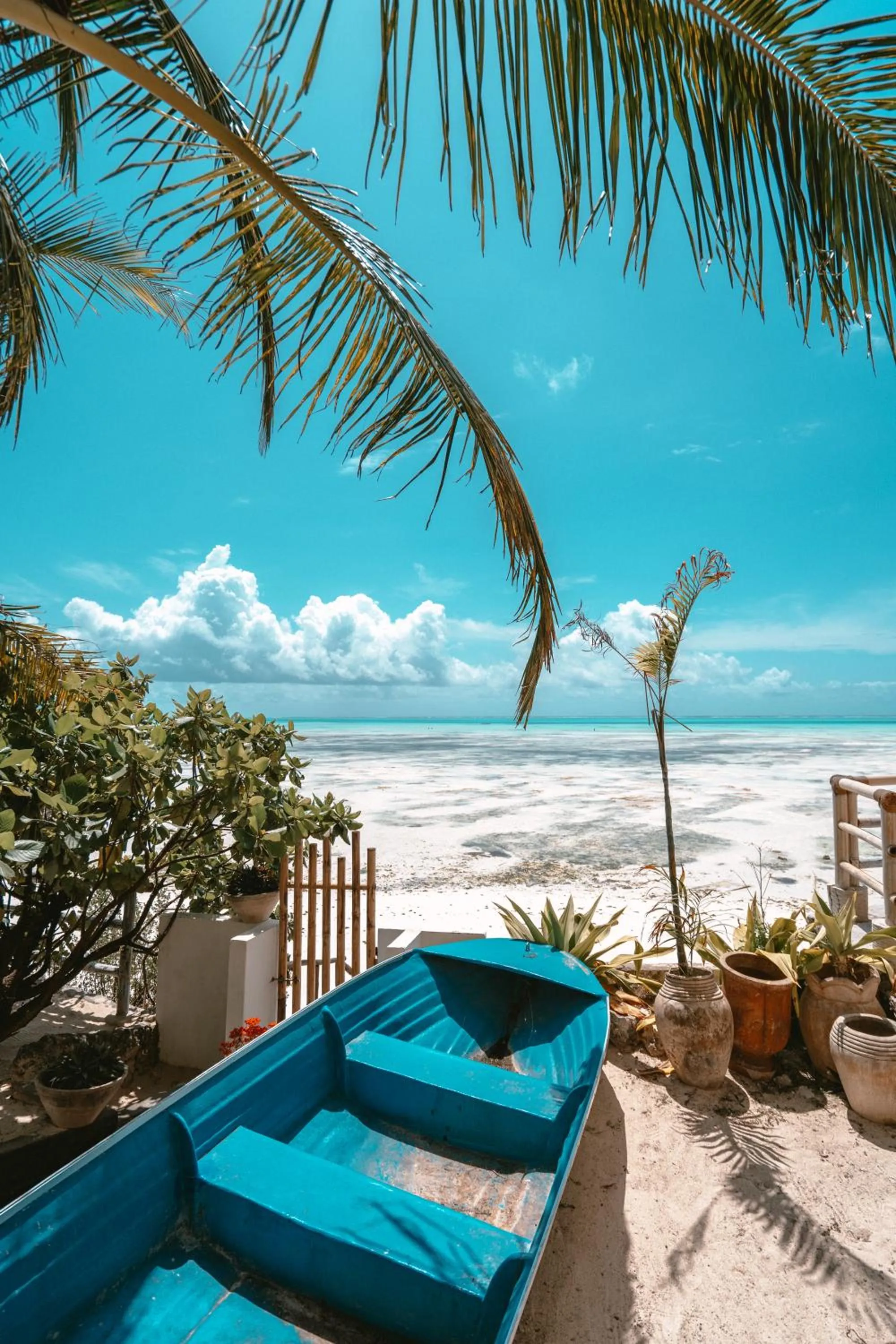 Balcony/Terrace in Coral Rocks Hotel & Restaurant