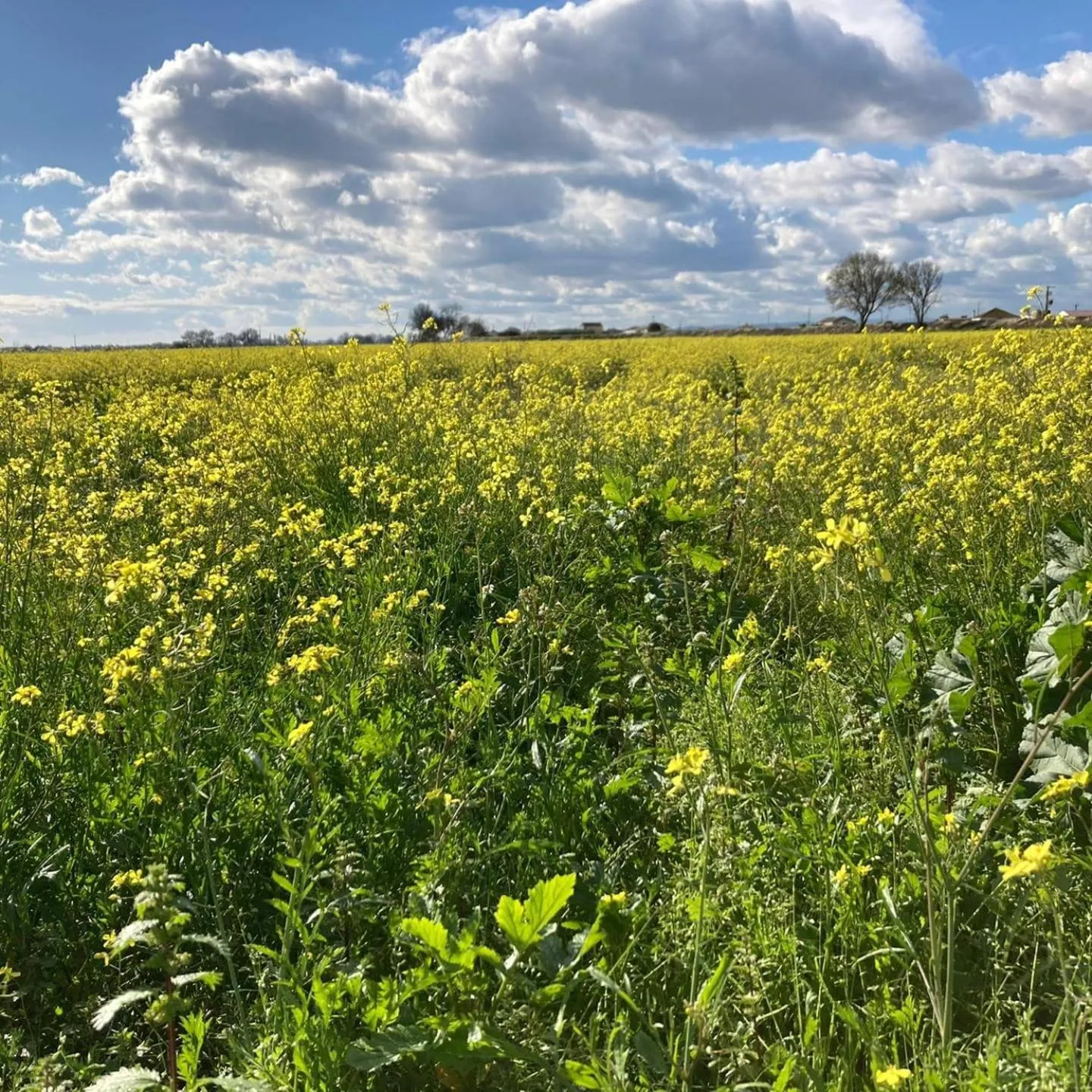Nearby landmark in Villa Rio by Valada Village