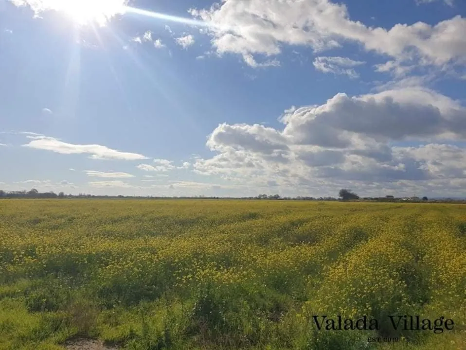Nearby landmark in Villa Rio by Valada Village