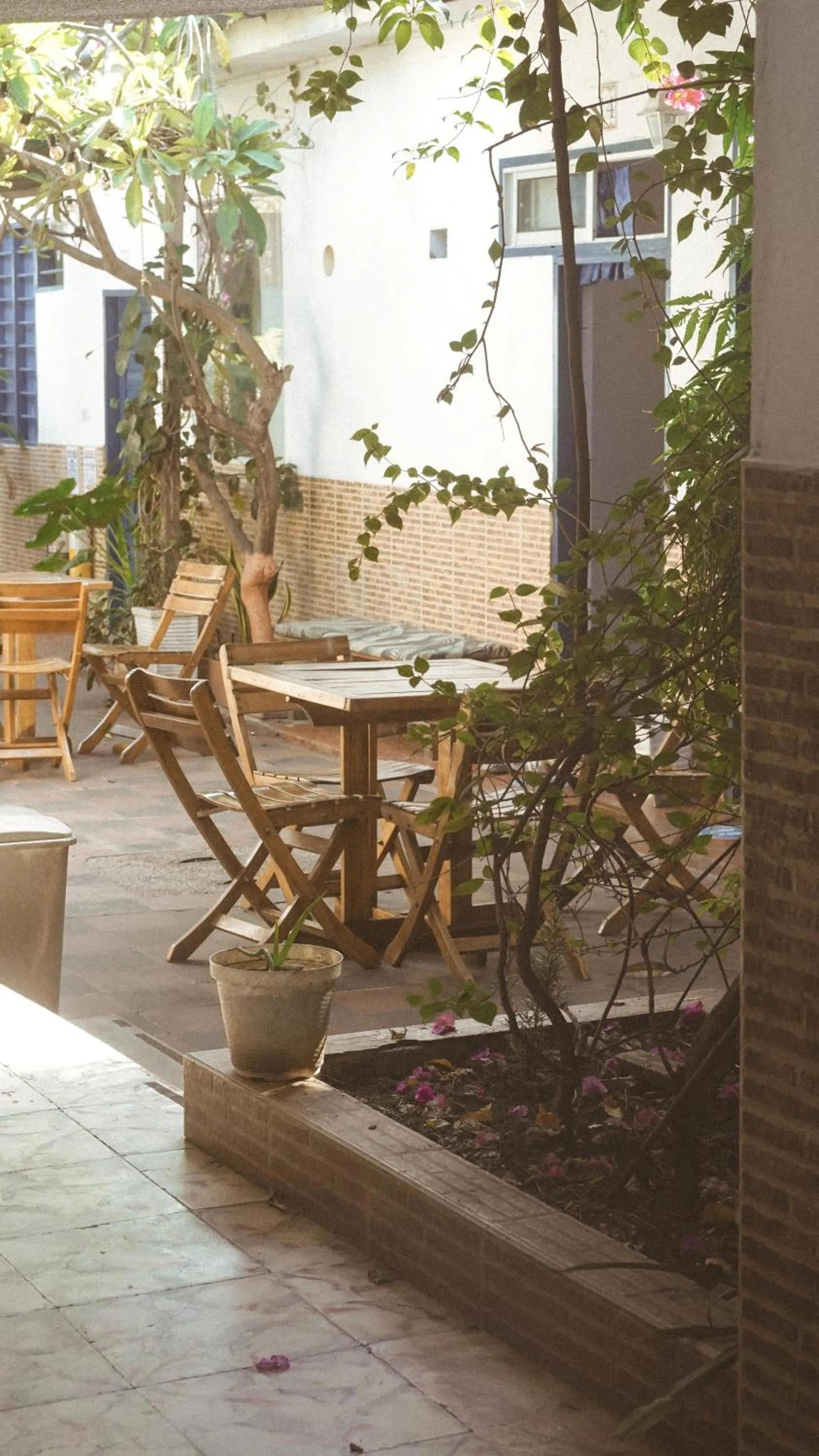 Patio in Hostal Luna Llena Getsemaní