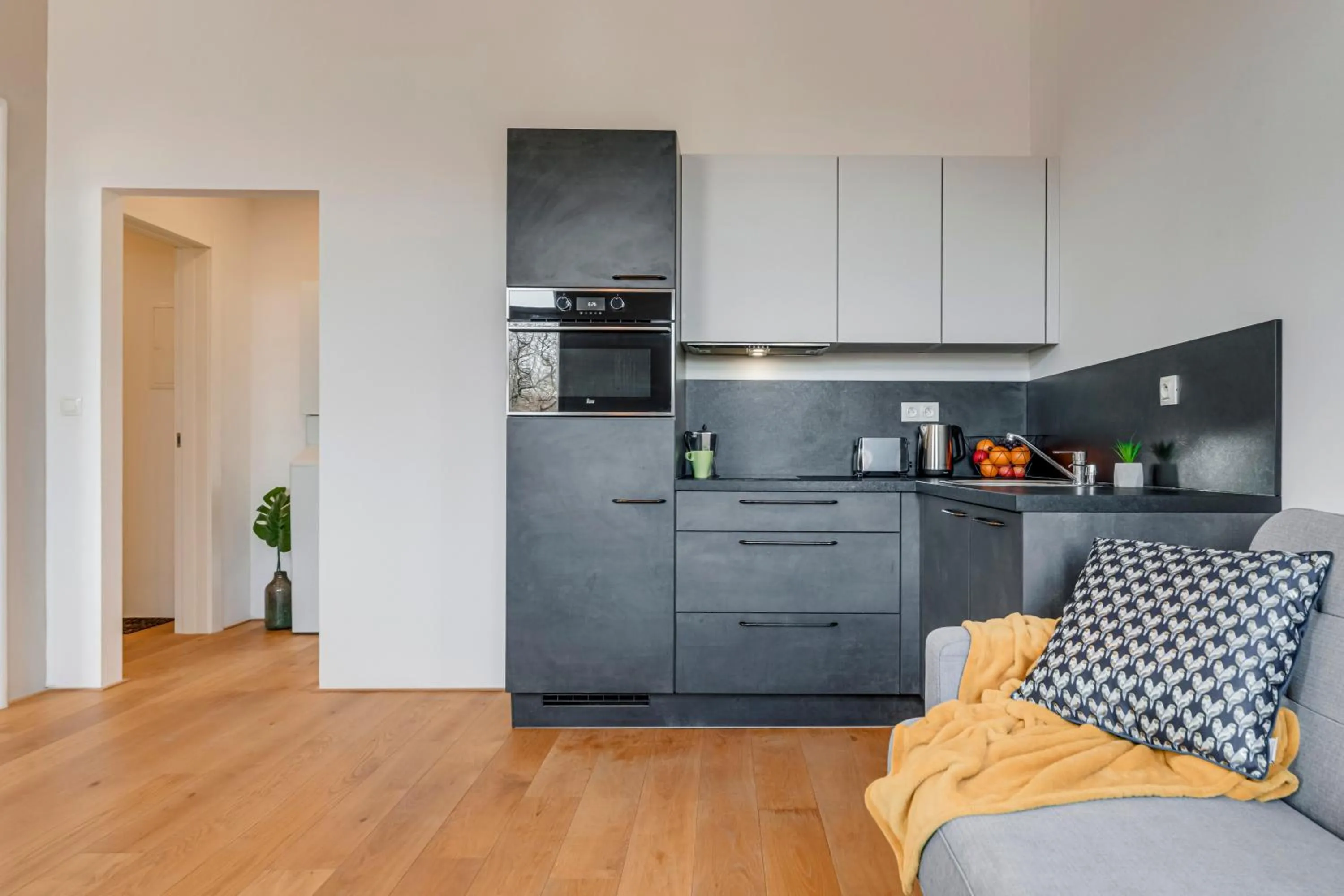 Kaizl Park Residence