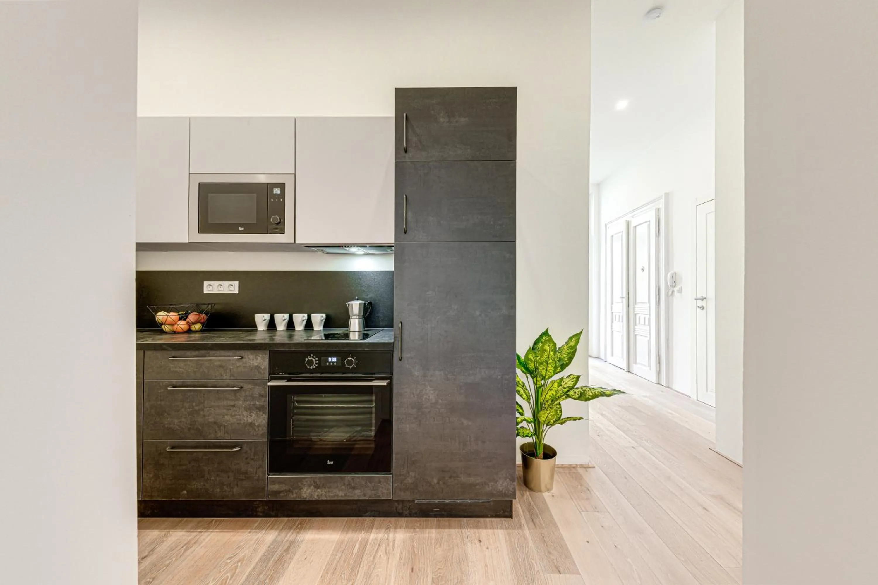 Kitchen or kitchenette in Kaizl Park Residence