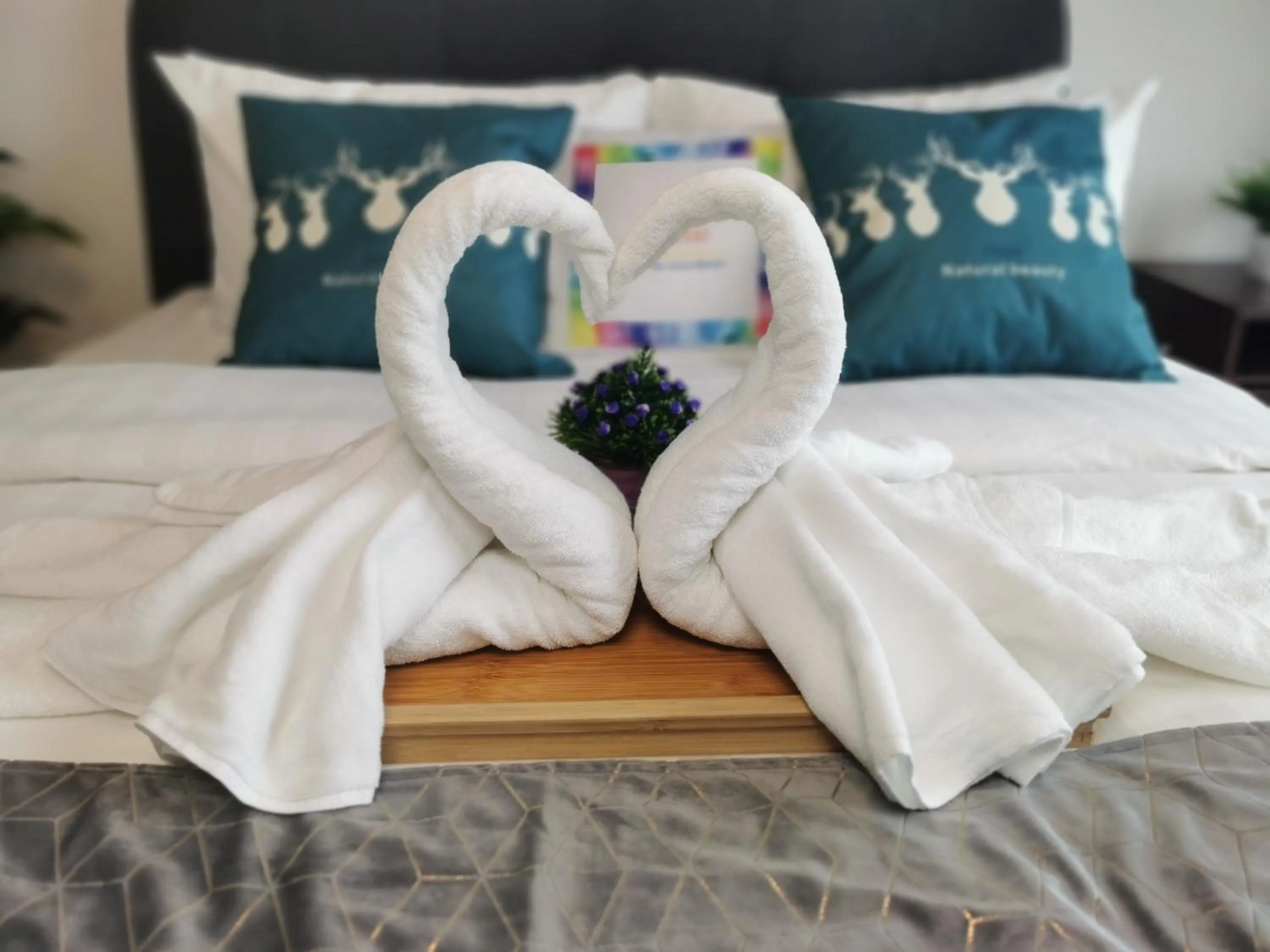 Bed in Continew Residence by HomeBrickz