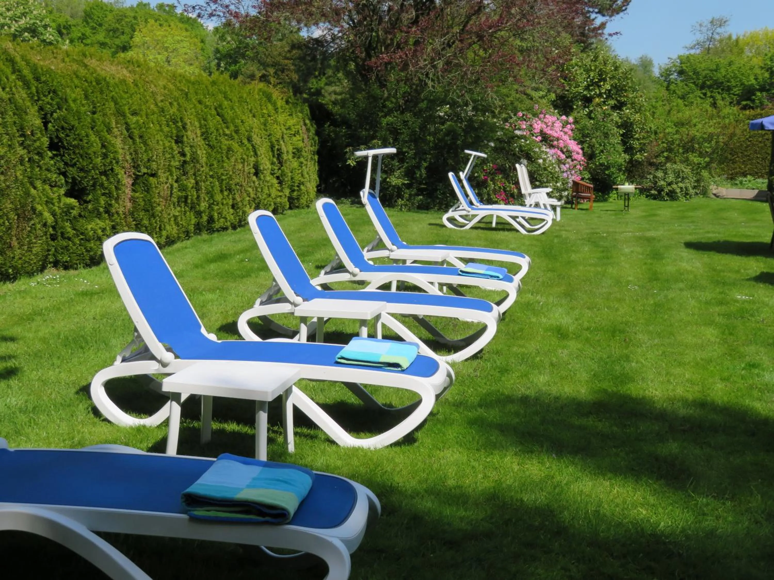 Garden in Hotel zum Rosenteich
