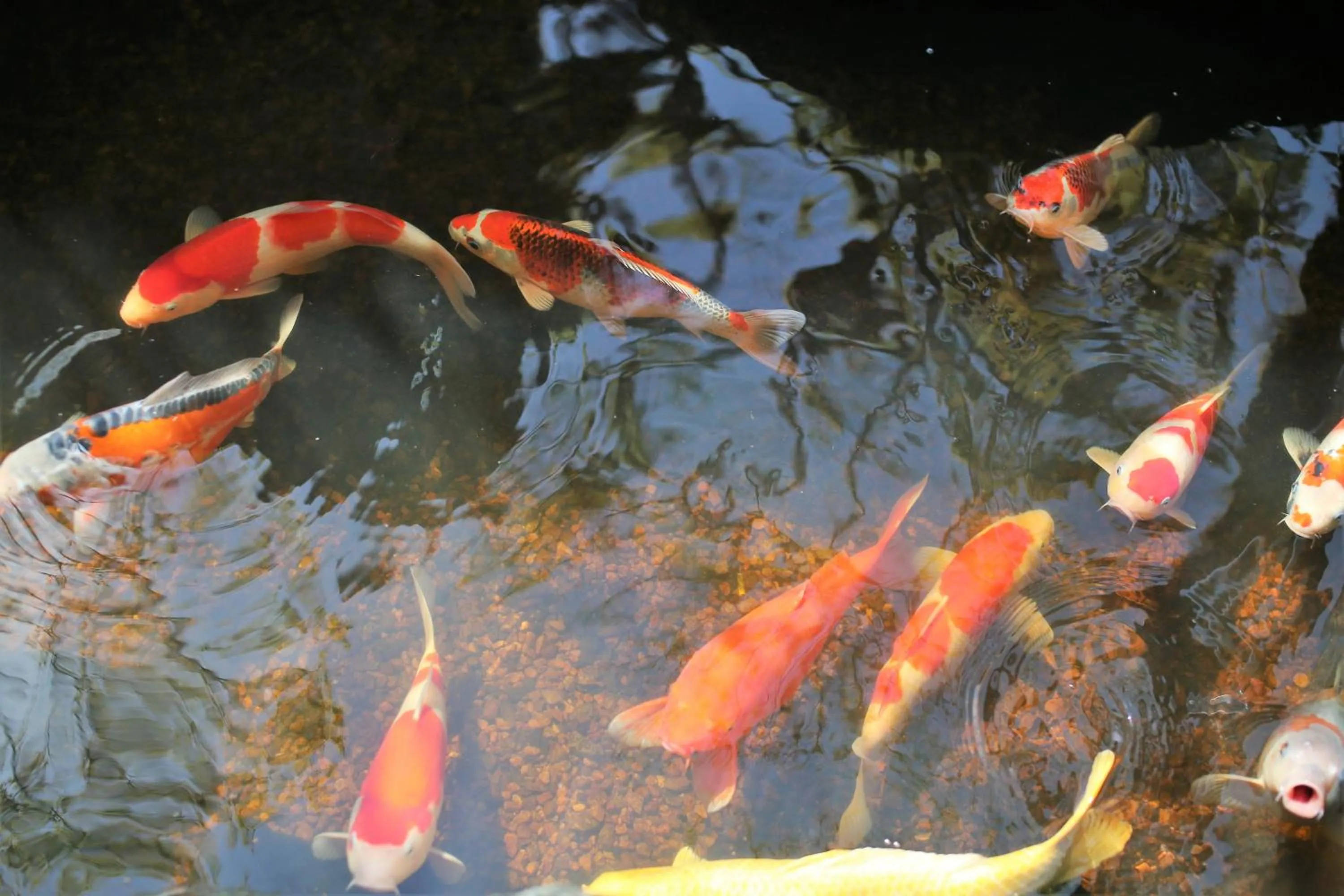 Other in Inishie no Yado Keiun