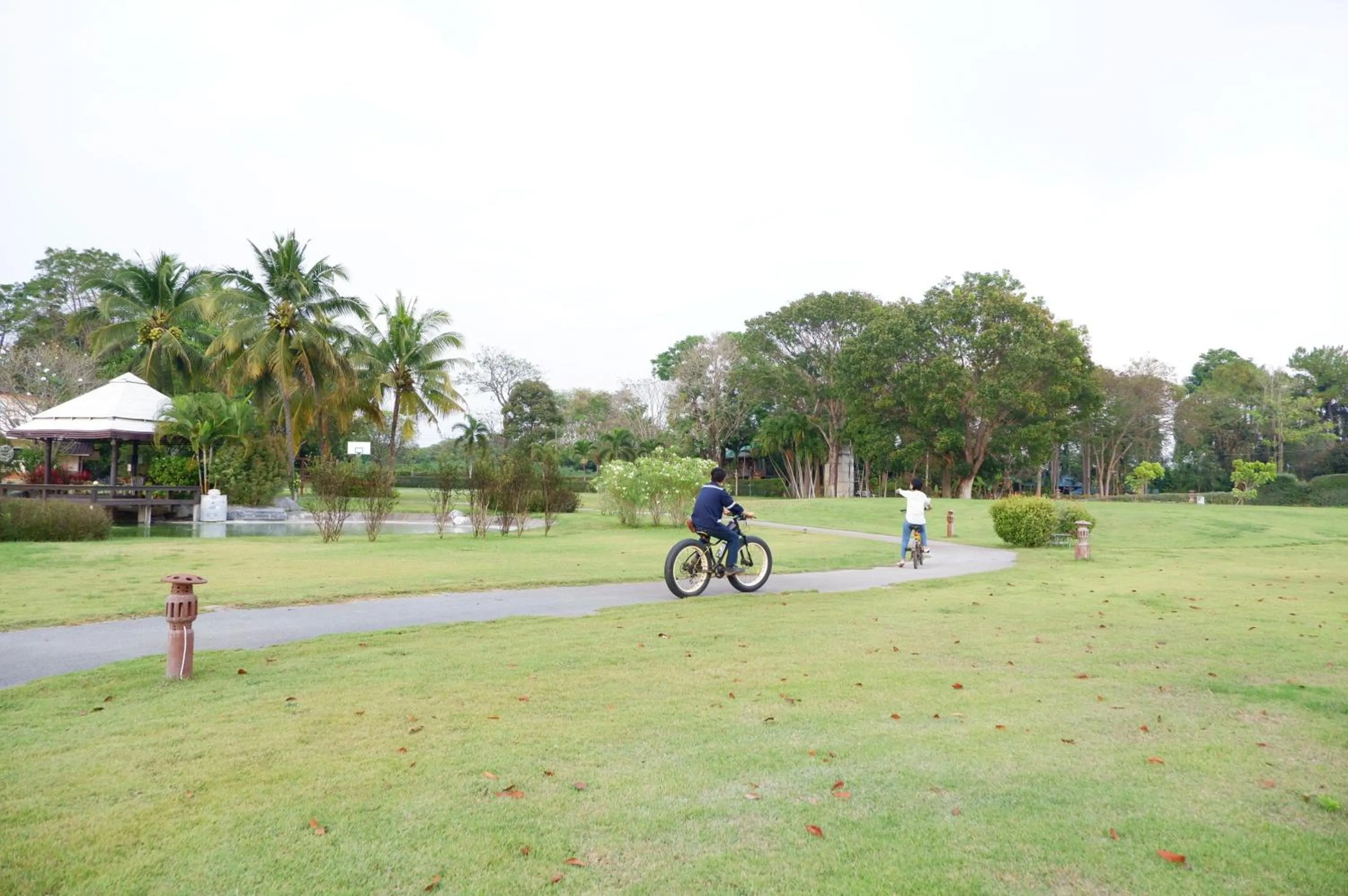 Activities in ทิพย์วาริน รีสอร์ท เขาใหญ่