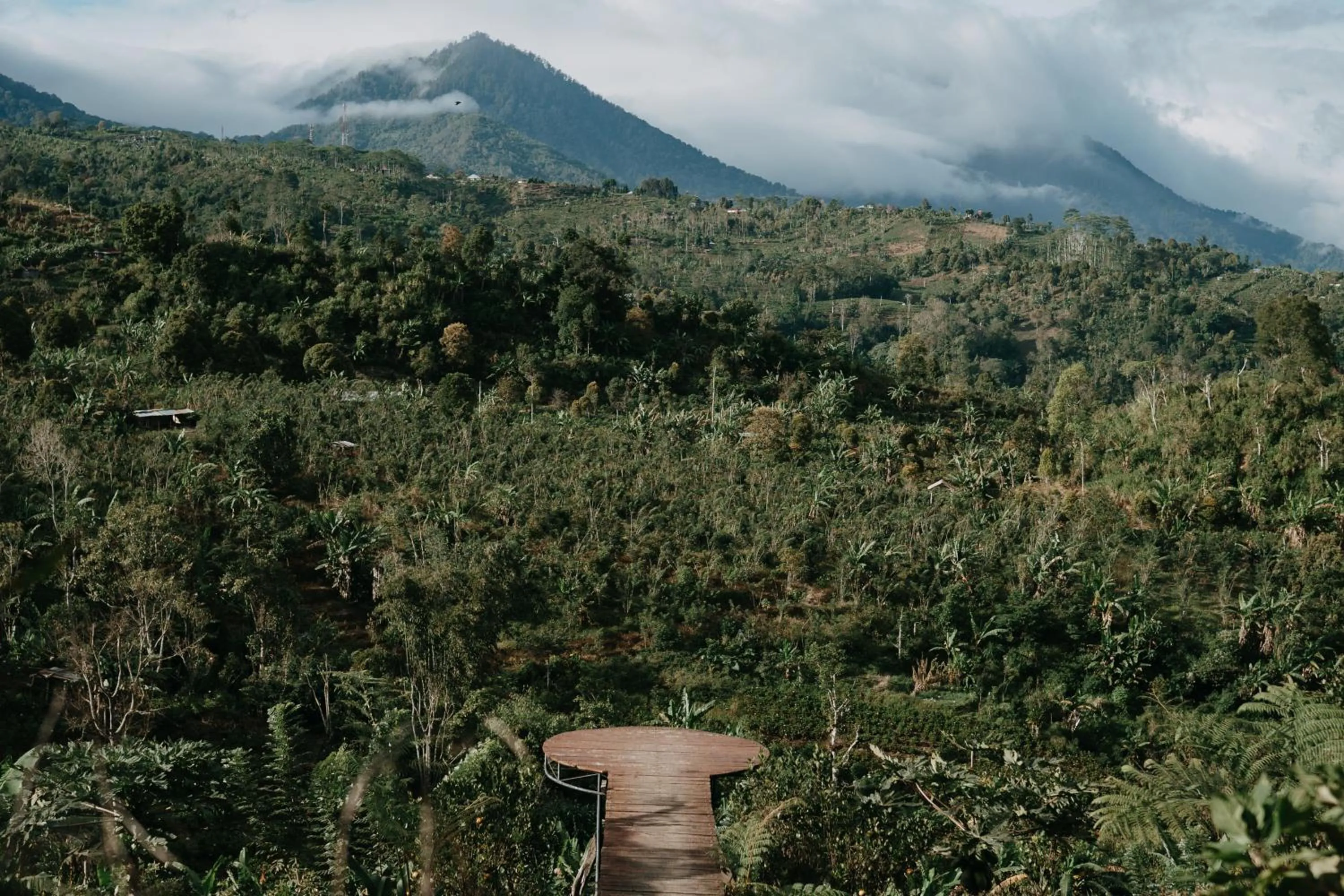 Mountain view in Alam Kita Glamping & Plantation