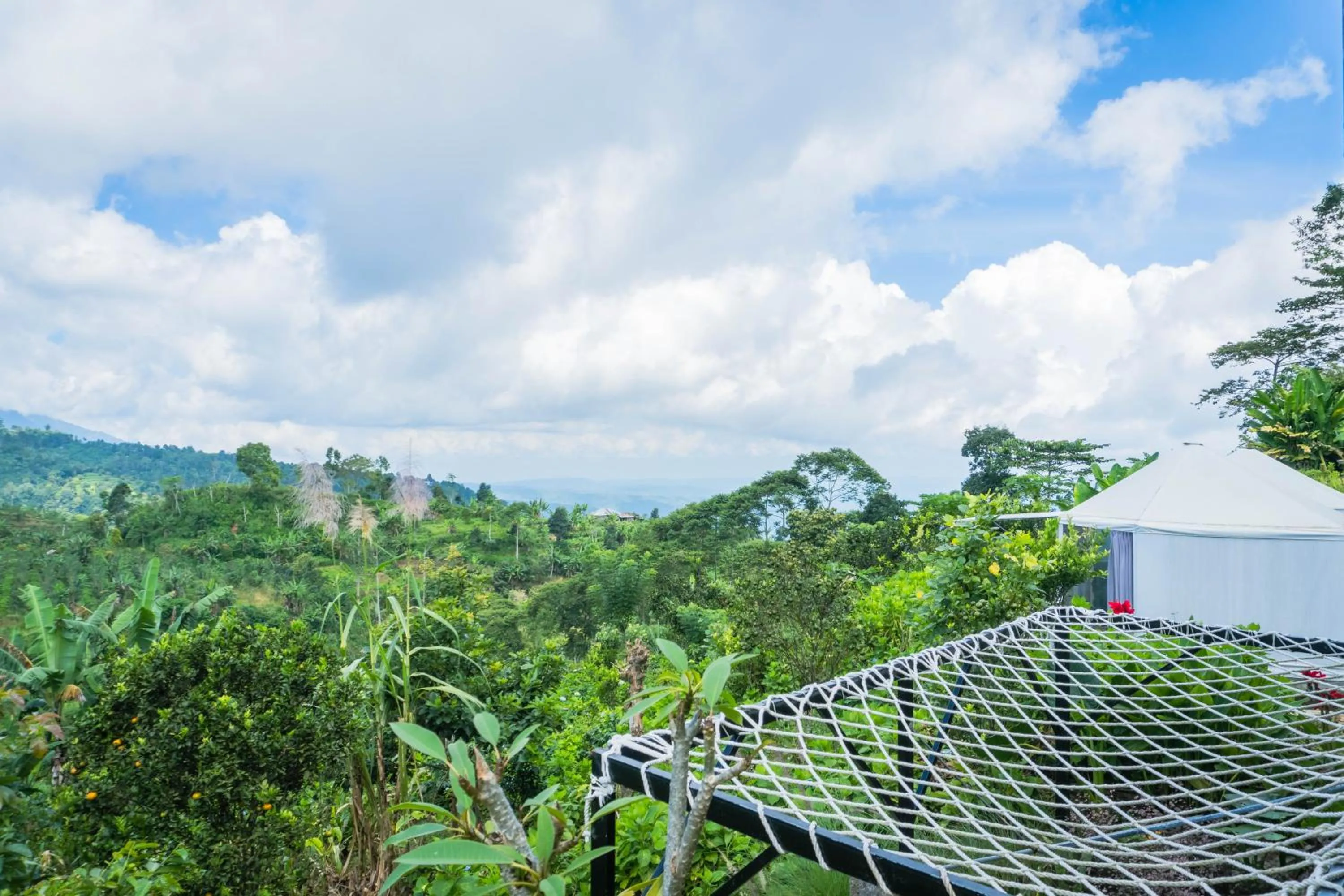 Natural landscape in Alam Kita Glamping & Plantation