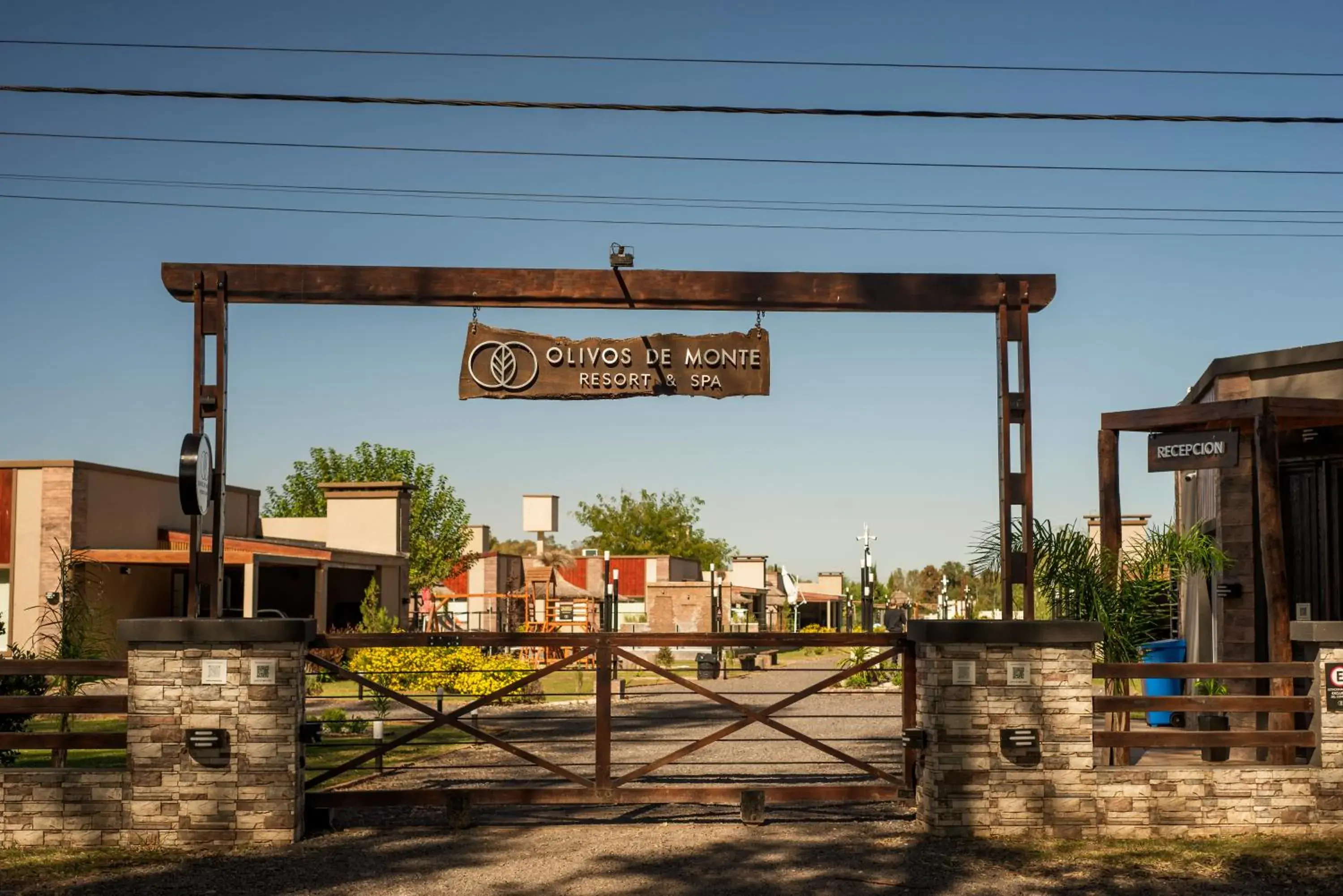 Olivos de Monte Olivos de Monte