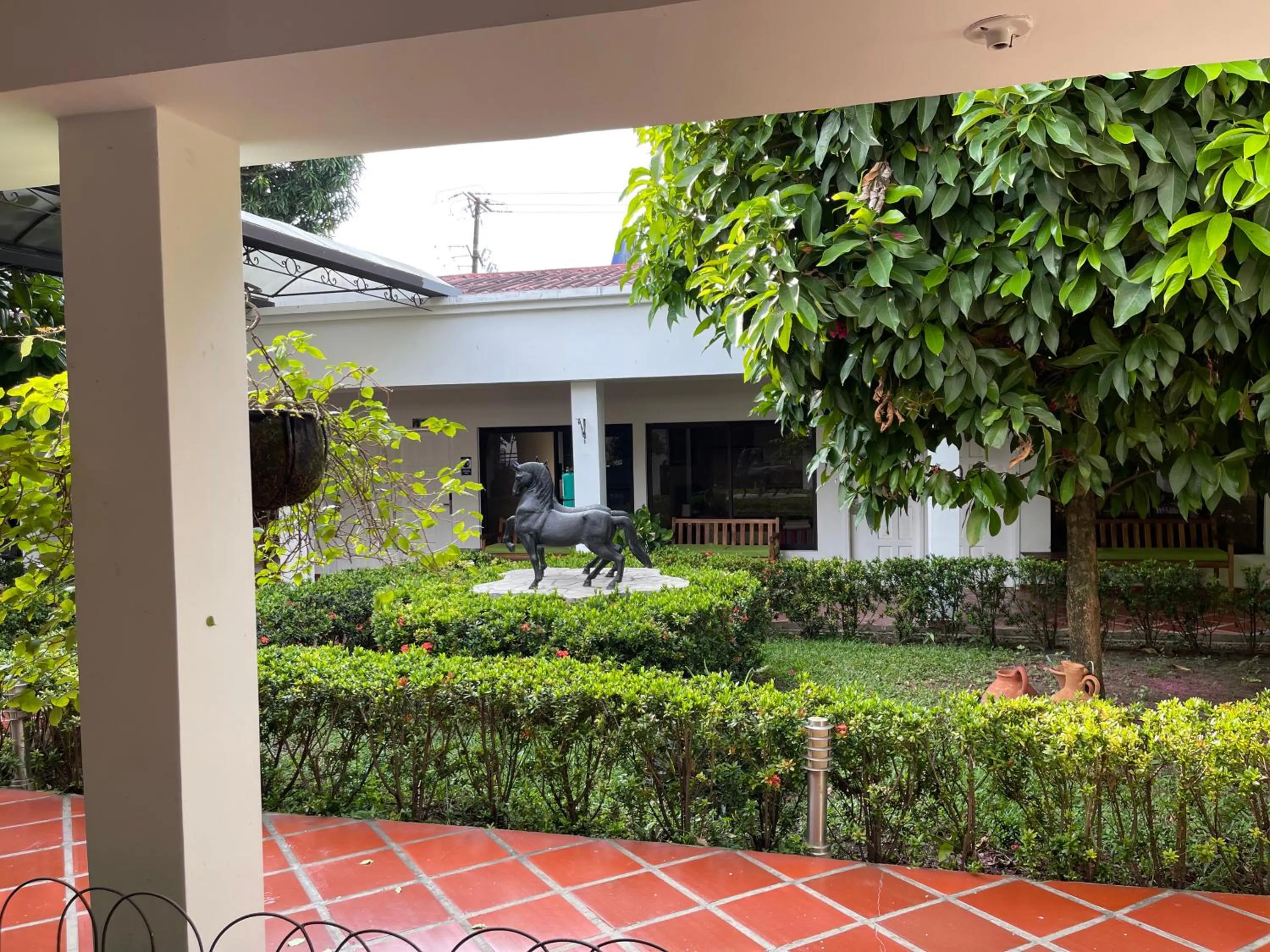 Garden in Hotel Melgar Villa Valeria