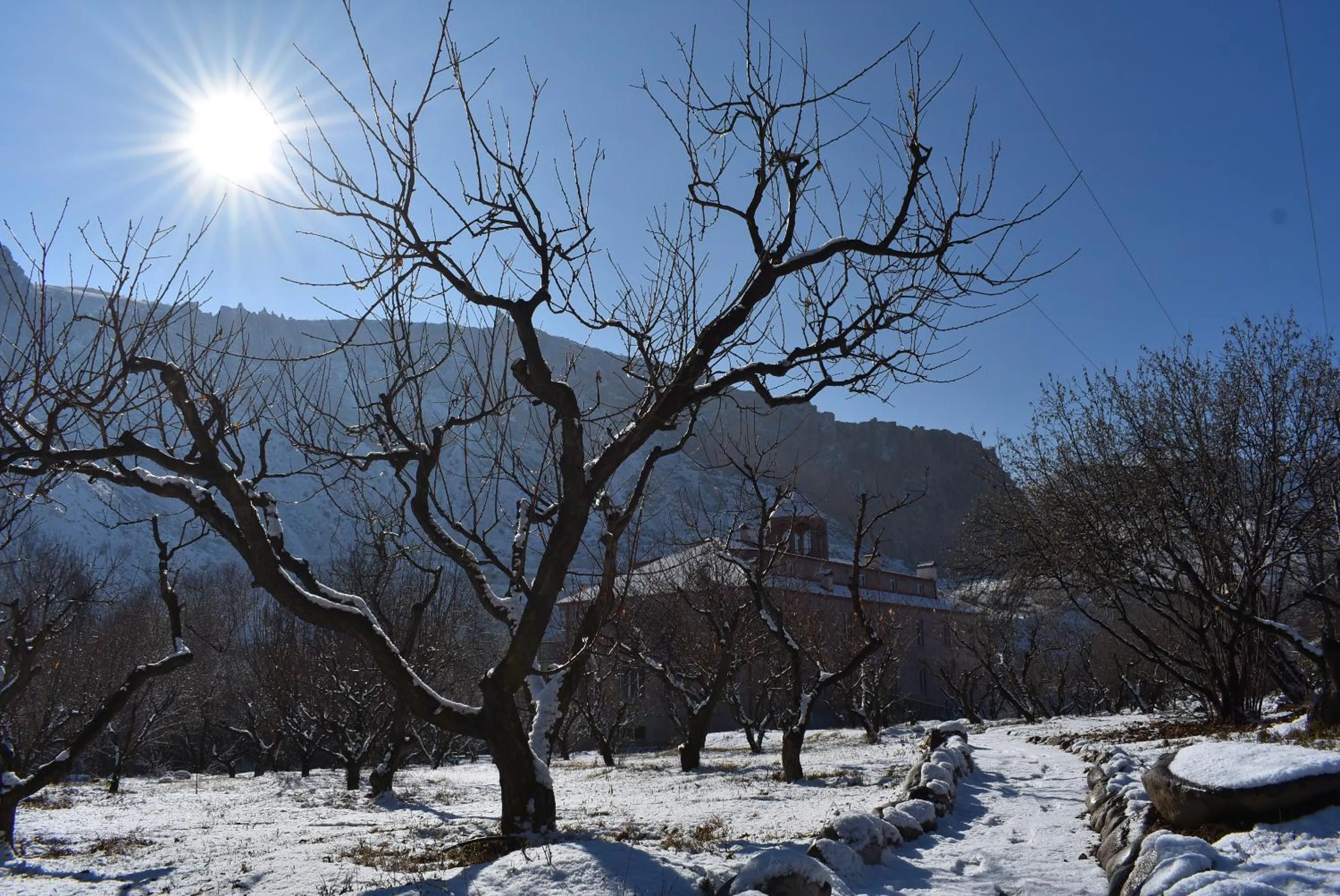 Garden in Areni Lodge
