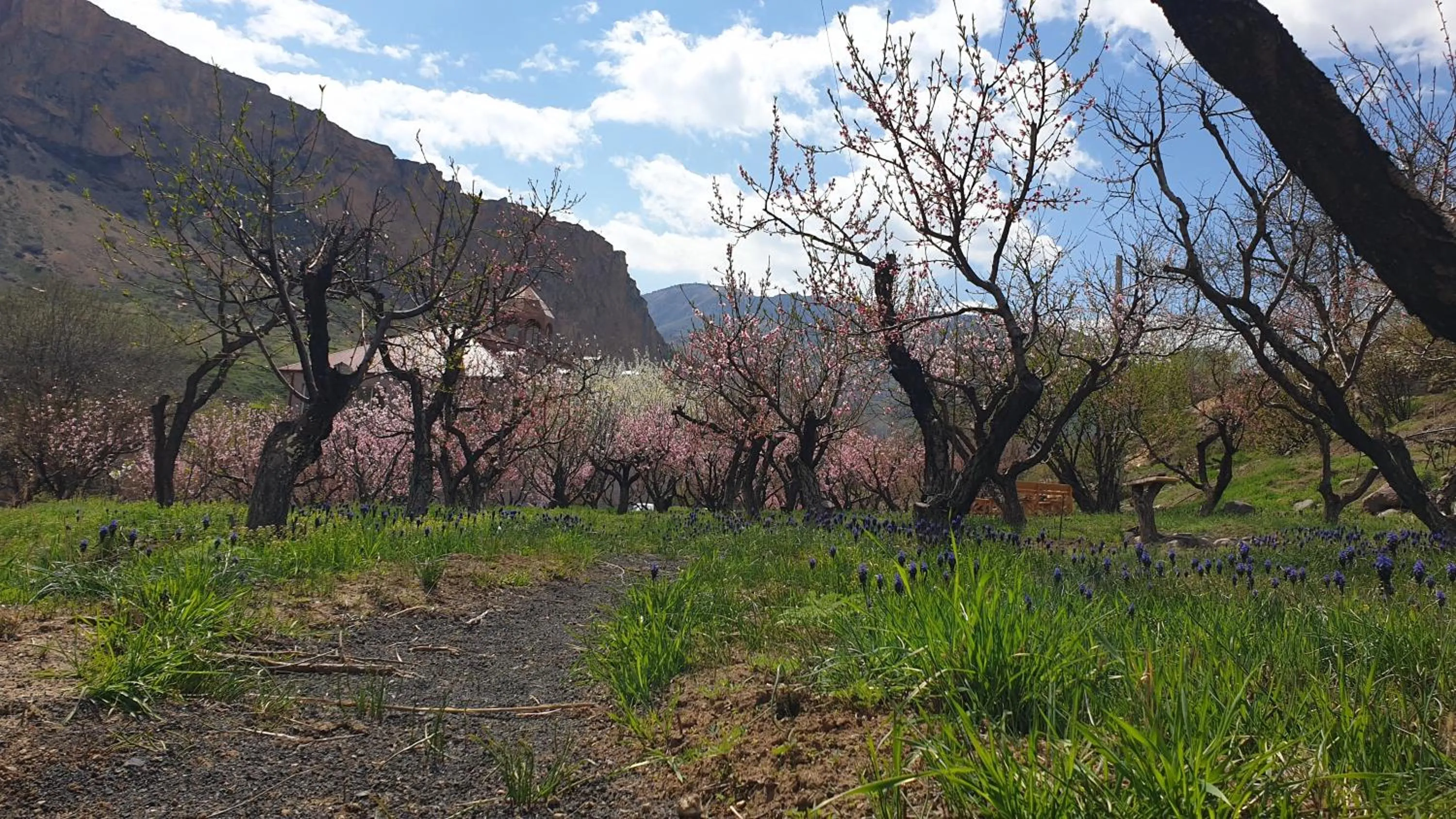 Spring in Areni Lodge