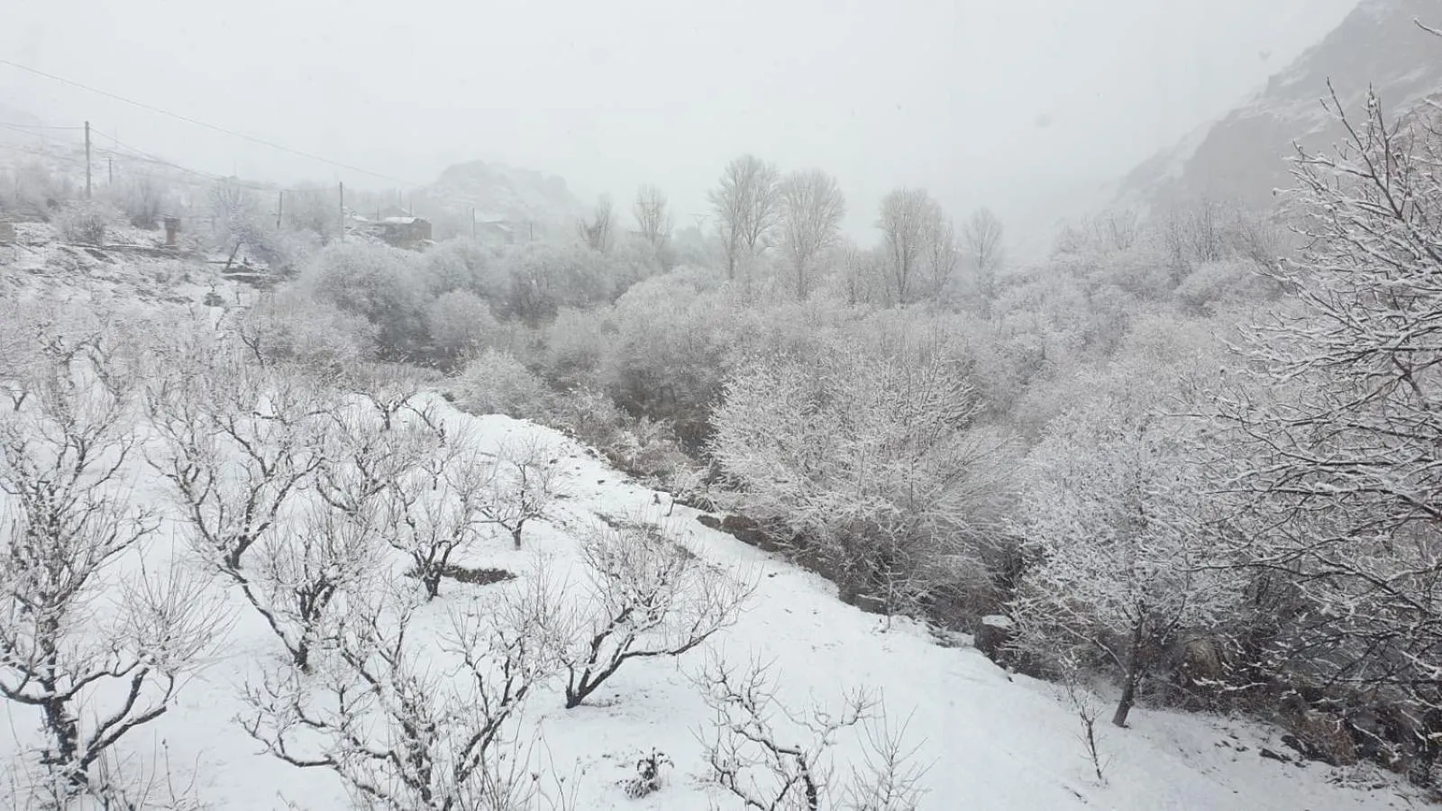 Winter in Areni Lodge