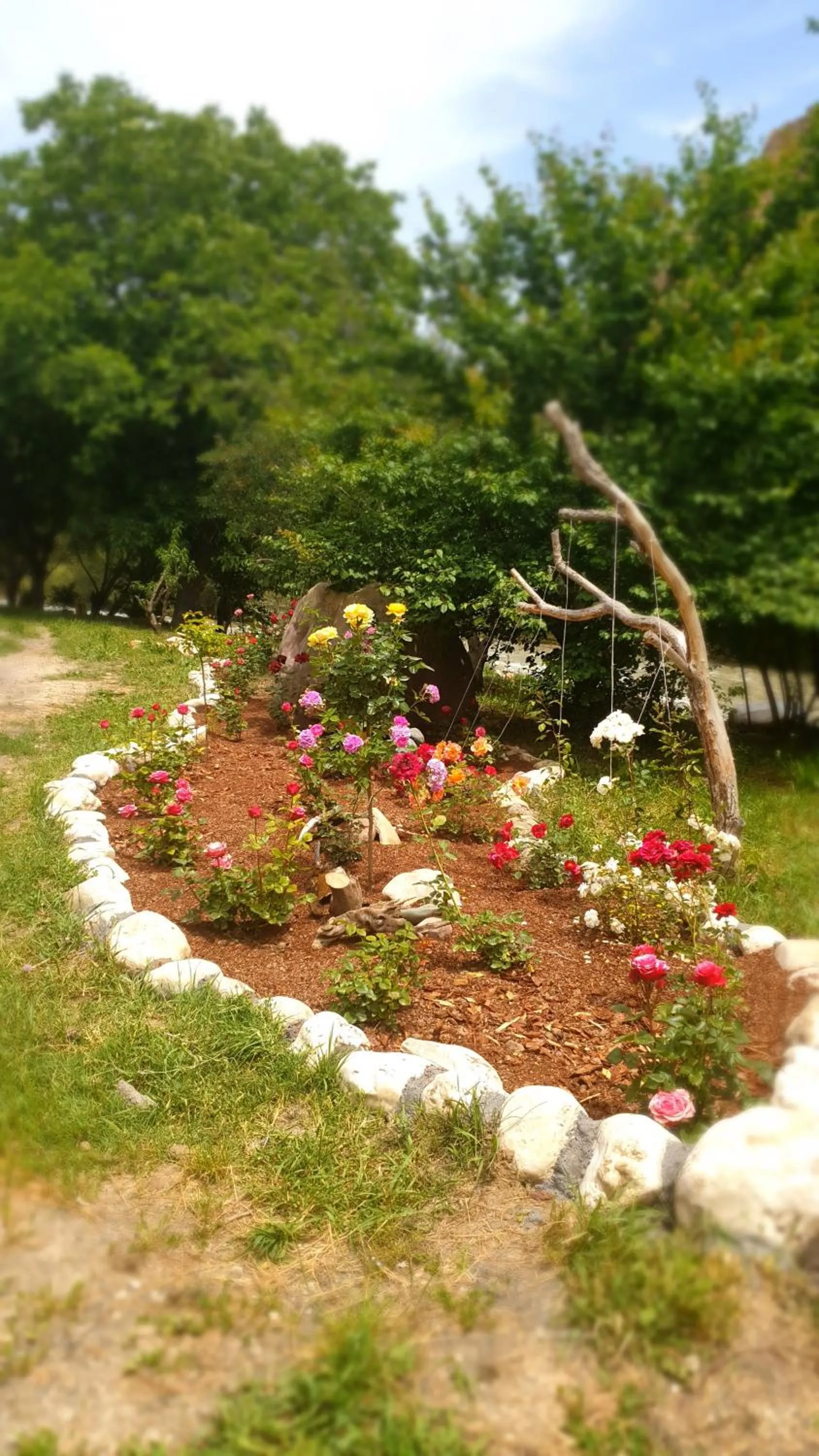 Garden in Areni Lodge